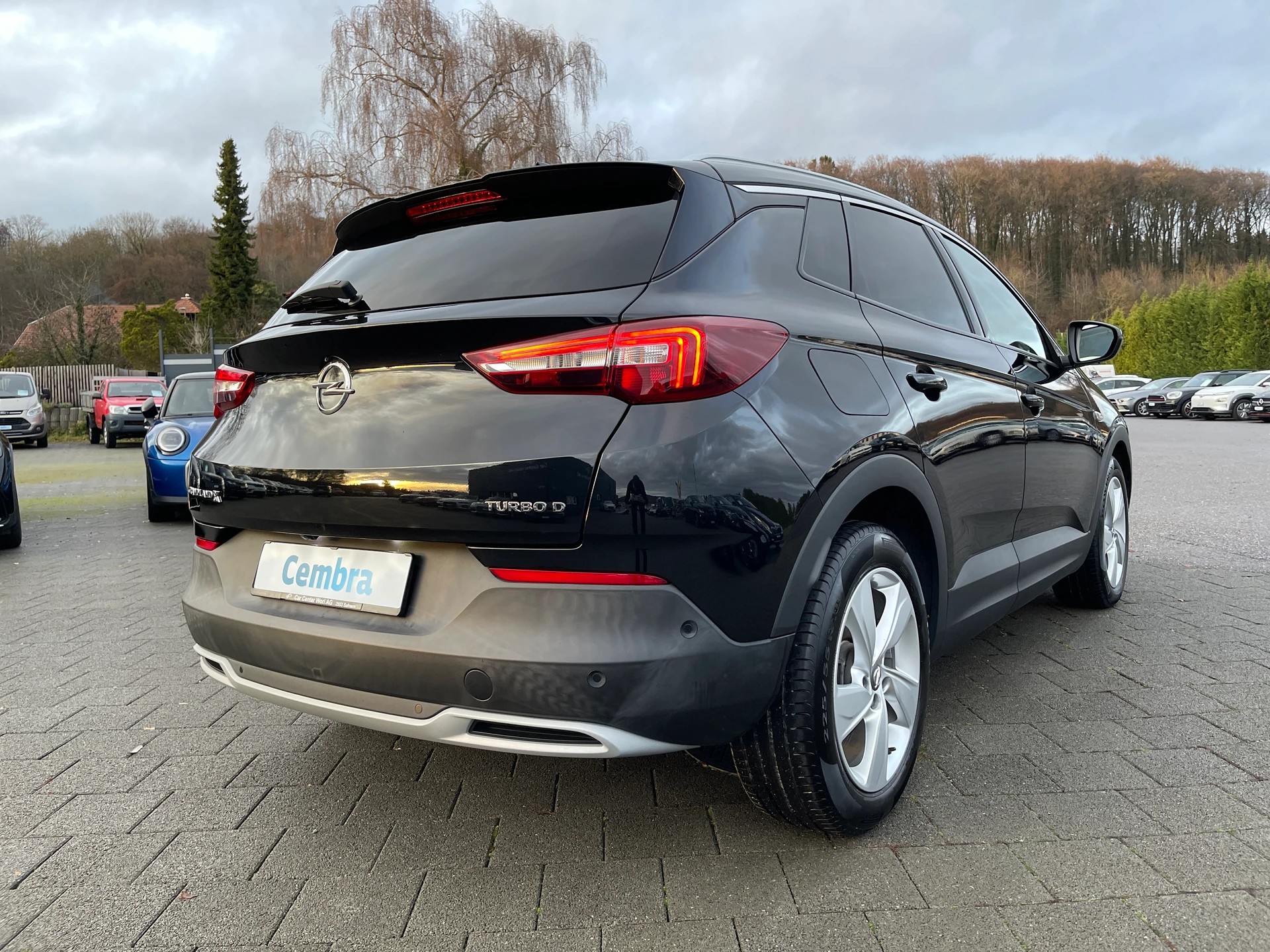 OPEL Grandland X 1.6CDTi Ultimate Automatik-image-3