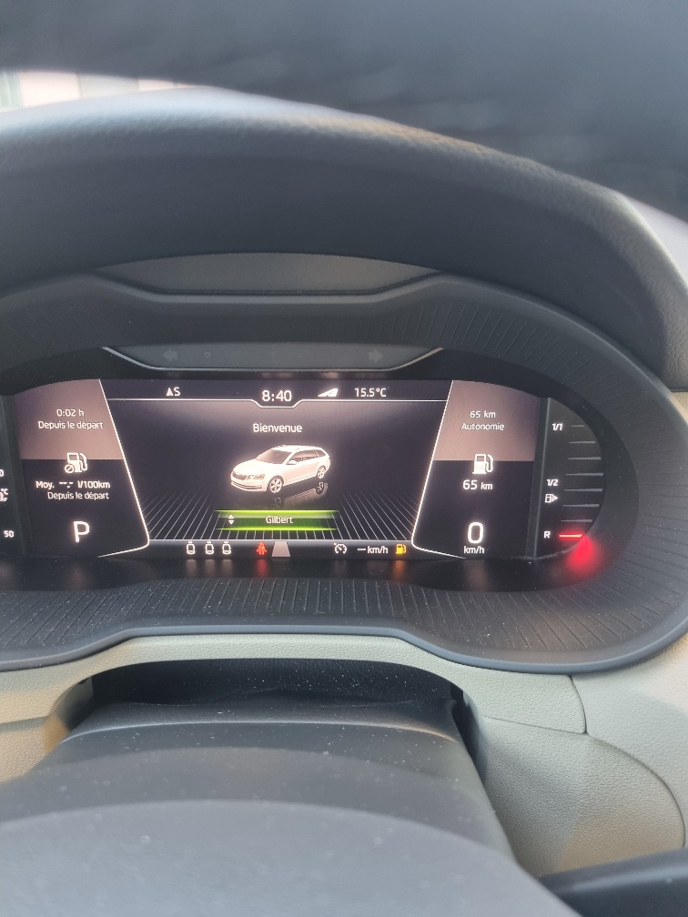 SKODA Octavia Combi 2.0 TSI Style 4x4 DSG-image-9
