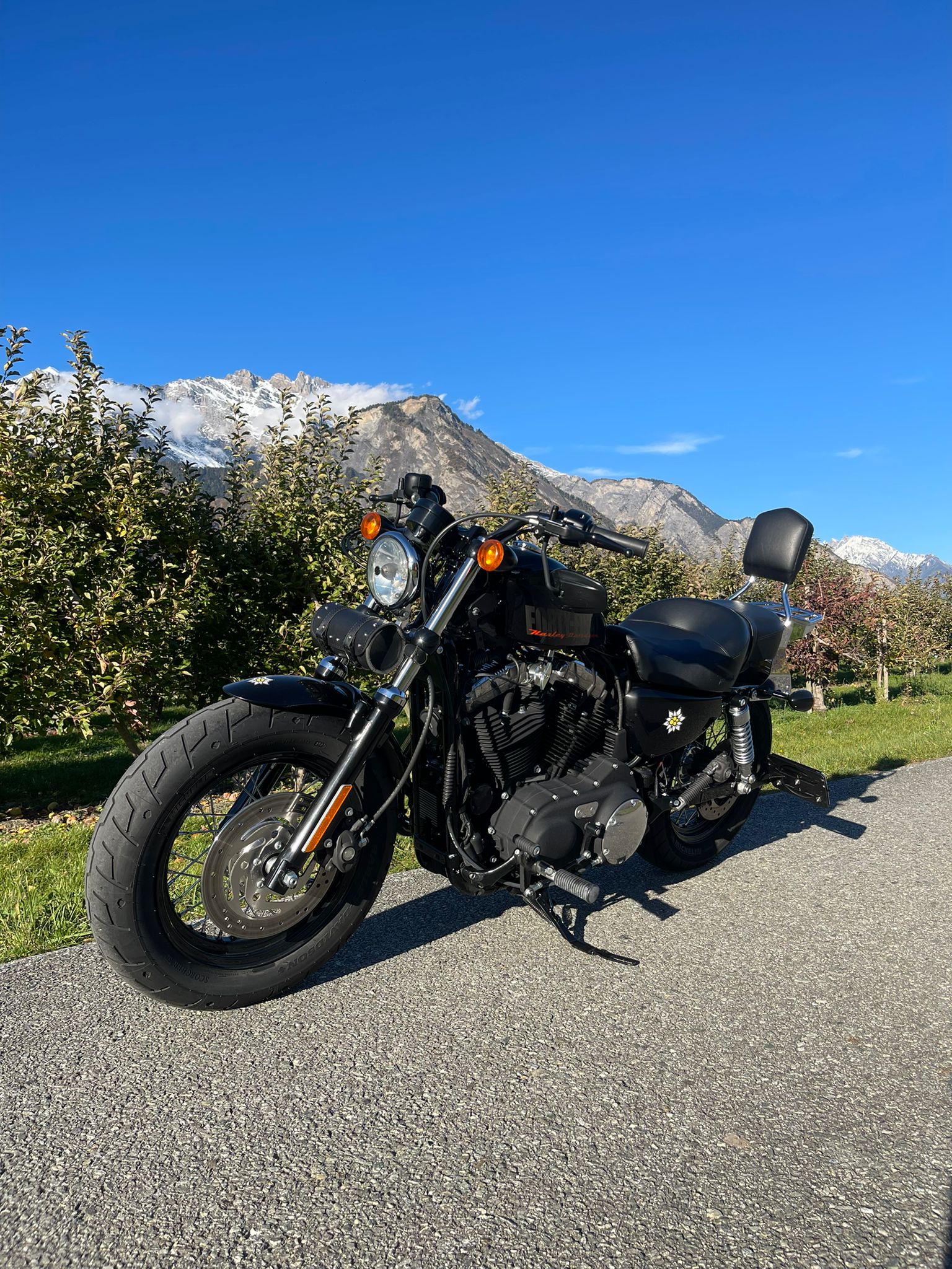 HARLEY-DAVIDSON XL 1200 X Forty Eight-image-4