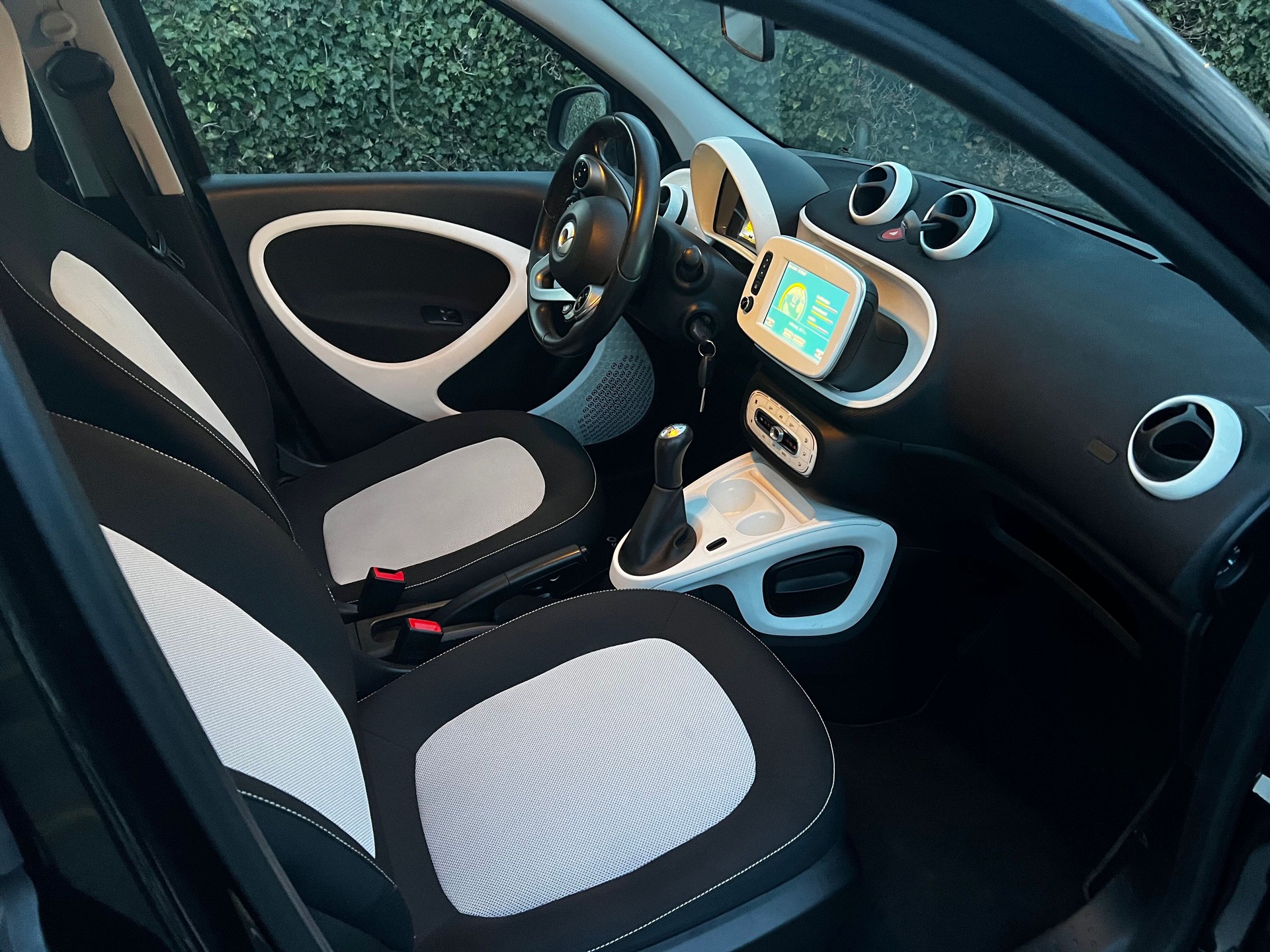 SMART forfour passion twinmatic-image-9