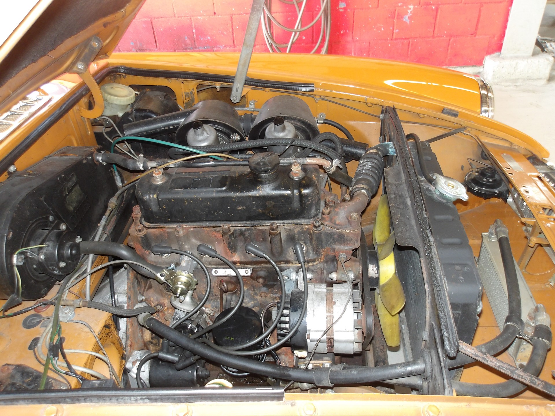 MG Cabriolet-image-6
