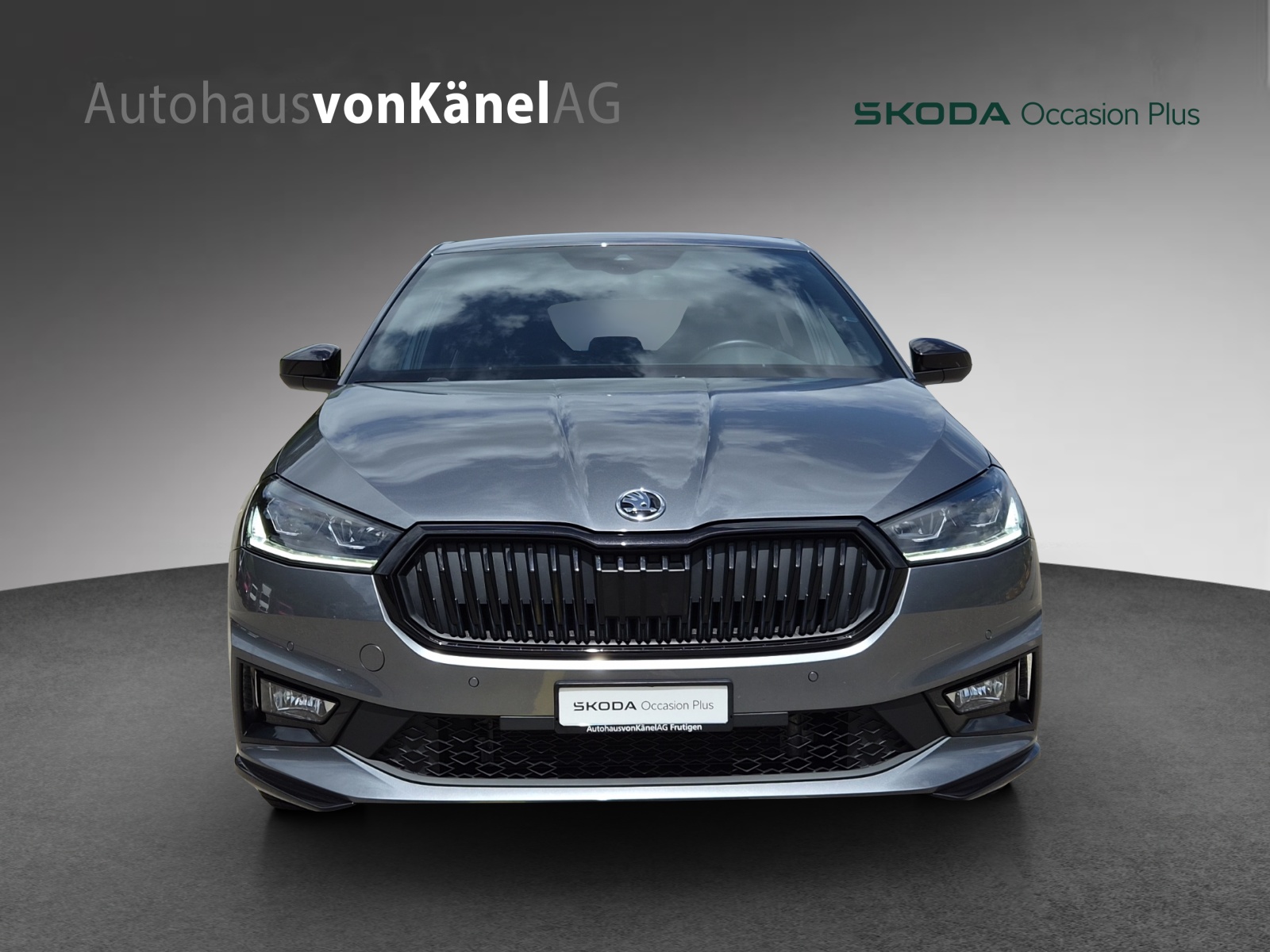 SKODA Fabia 1.0 TSI Monte Carlo DSG-image-3