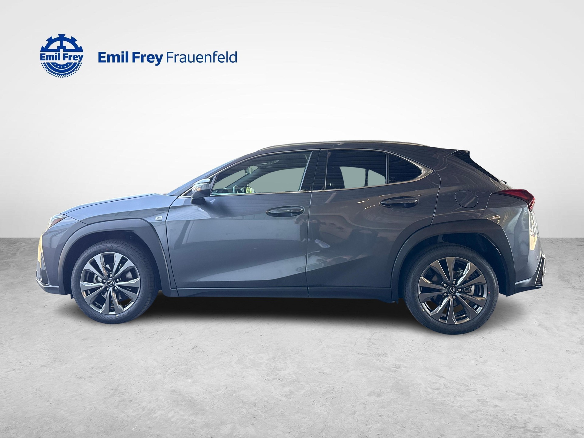 LEXUS UX 300h F-Line-showroom-element-1