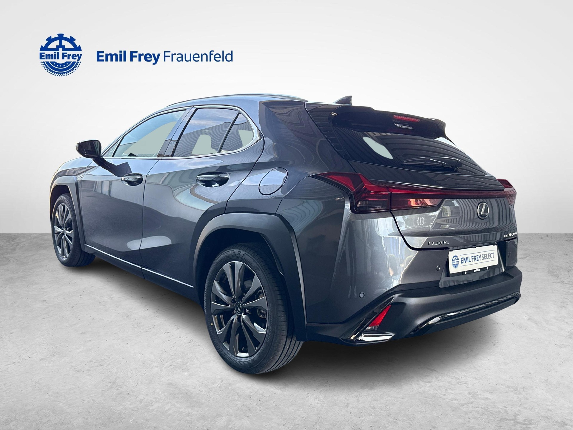 LEXUS UX 300h F-Line-showroom-element-2