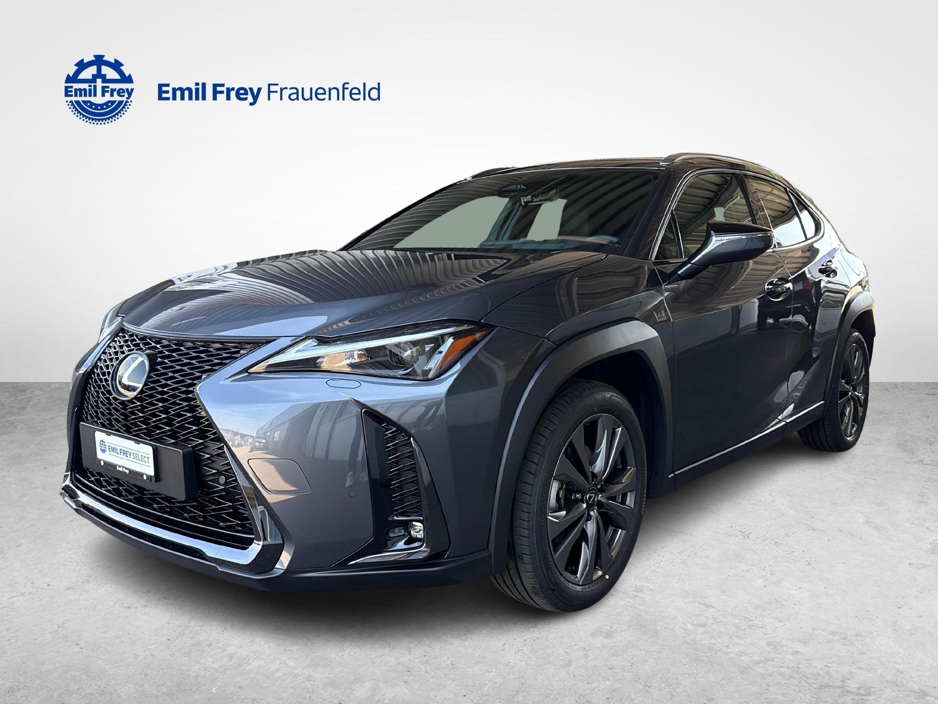 LEXUS UX 300h F-Line-image-0