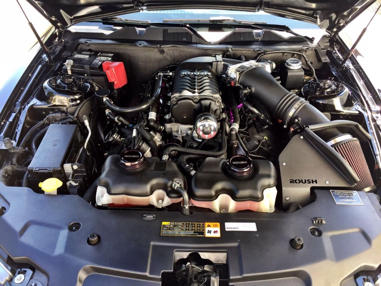 FORD MUSTANG Roush-image-5