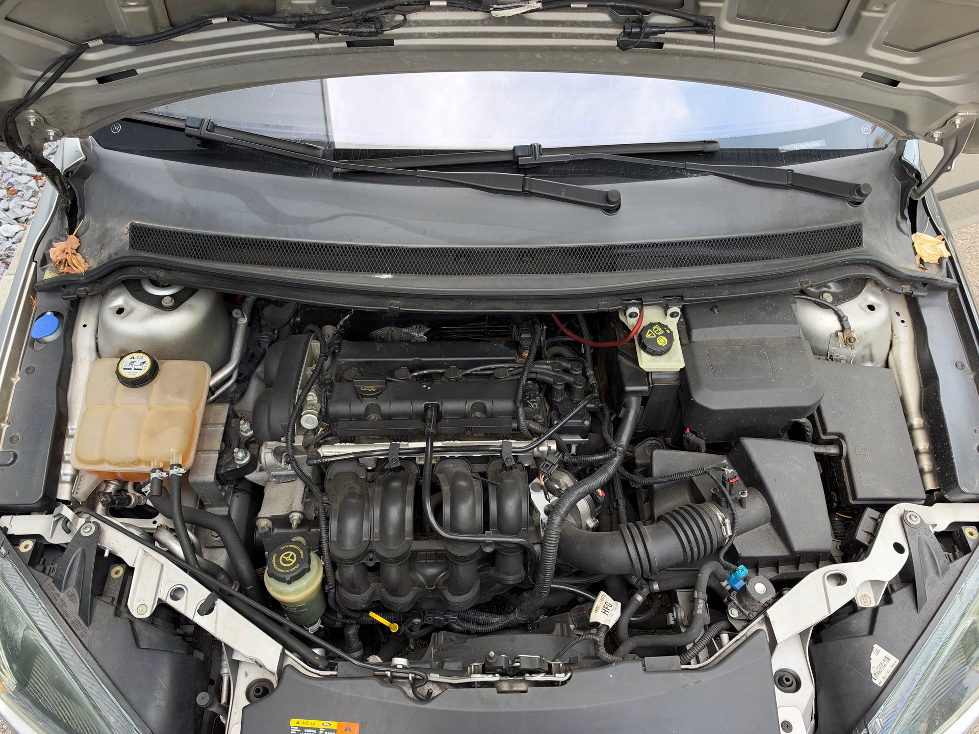 FORD Focus 1.6i VCT Carving-image-11