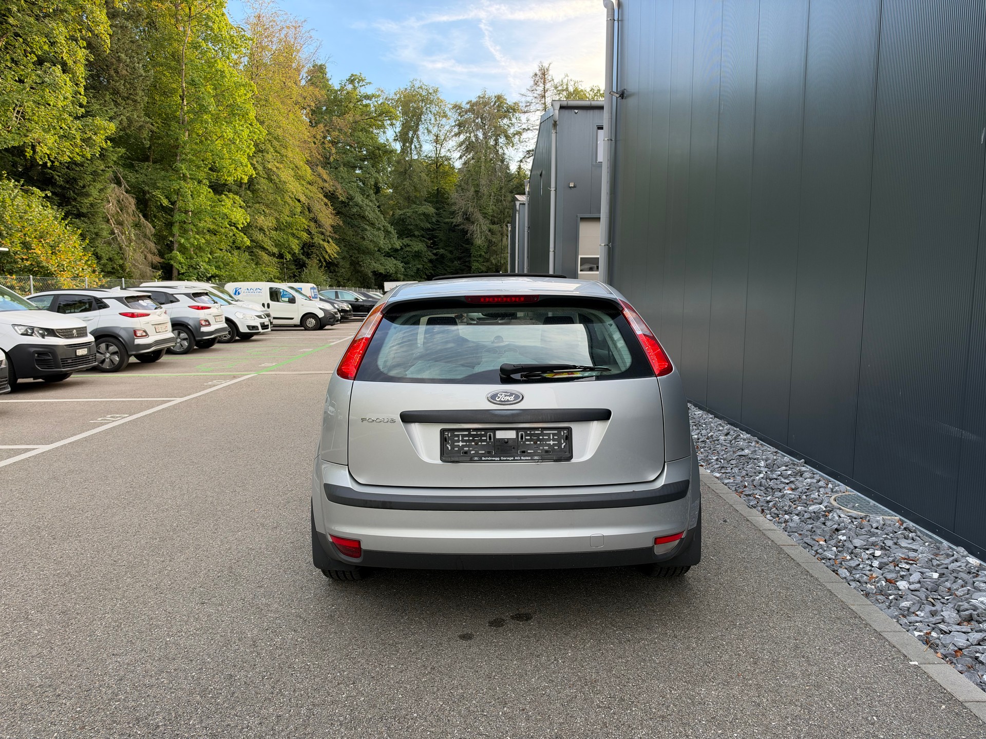 FORD Focus 1.6i VCT Carving-image-4
