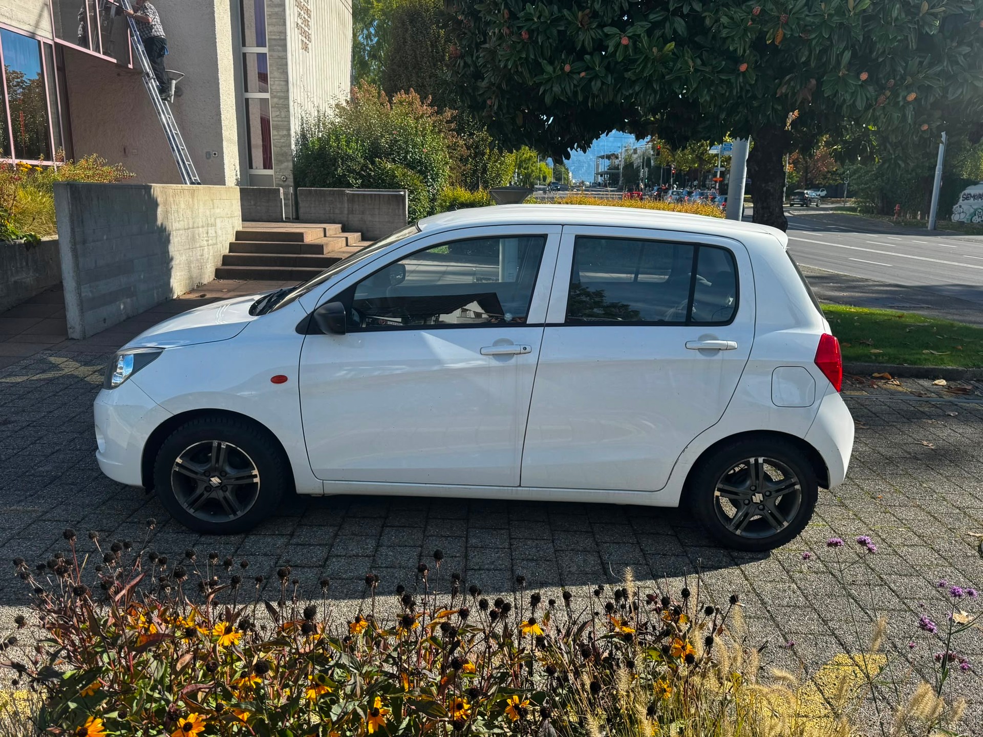 SUZUKI Celerio 1.0 Compact+-image-5