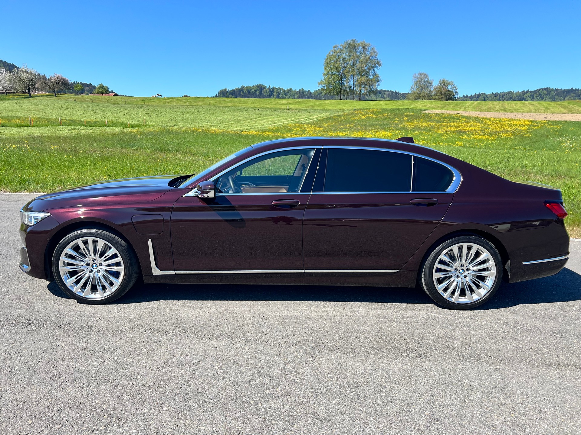 BMW 745Le xDrive Steptronic-image-2