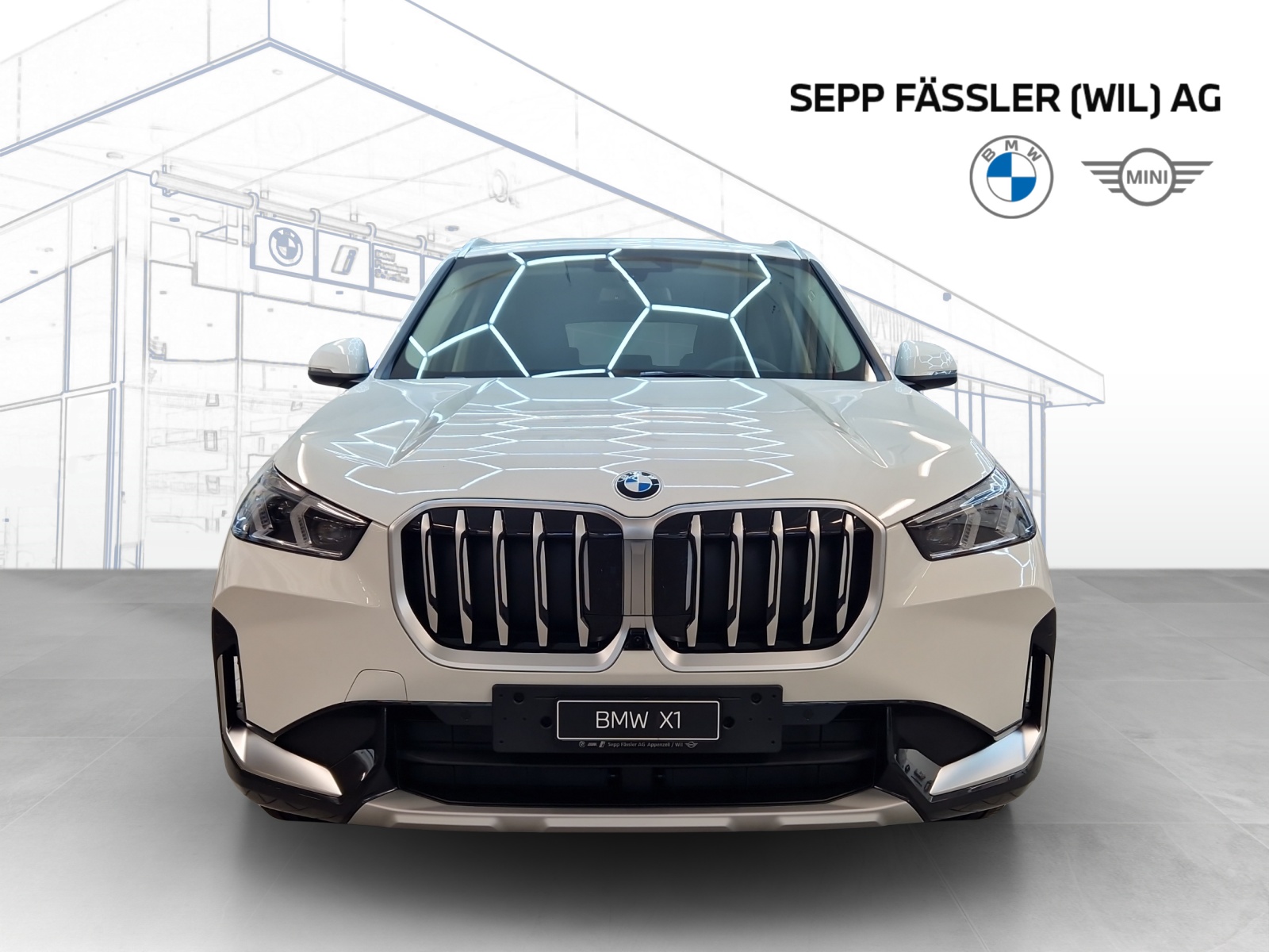 BMW X1 xDrive 20d 48V xLine-image-24