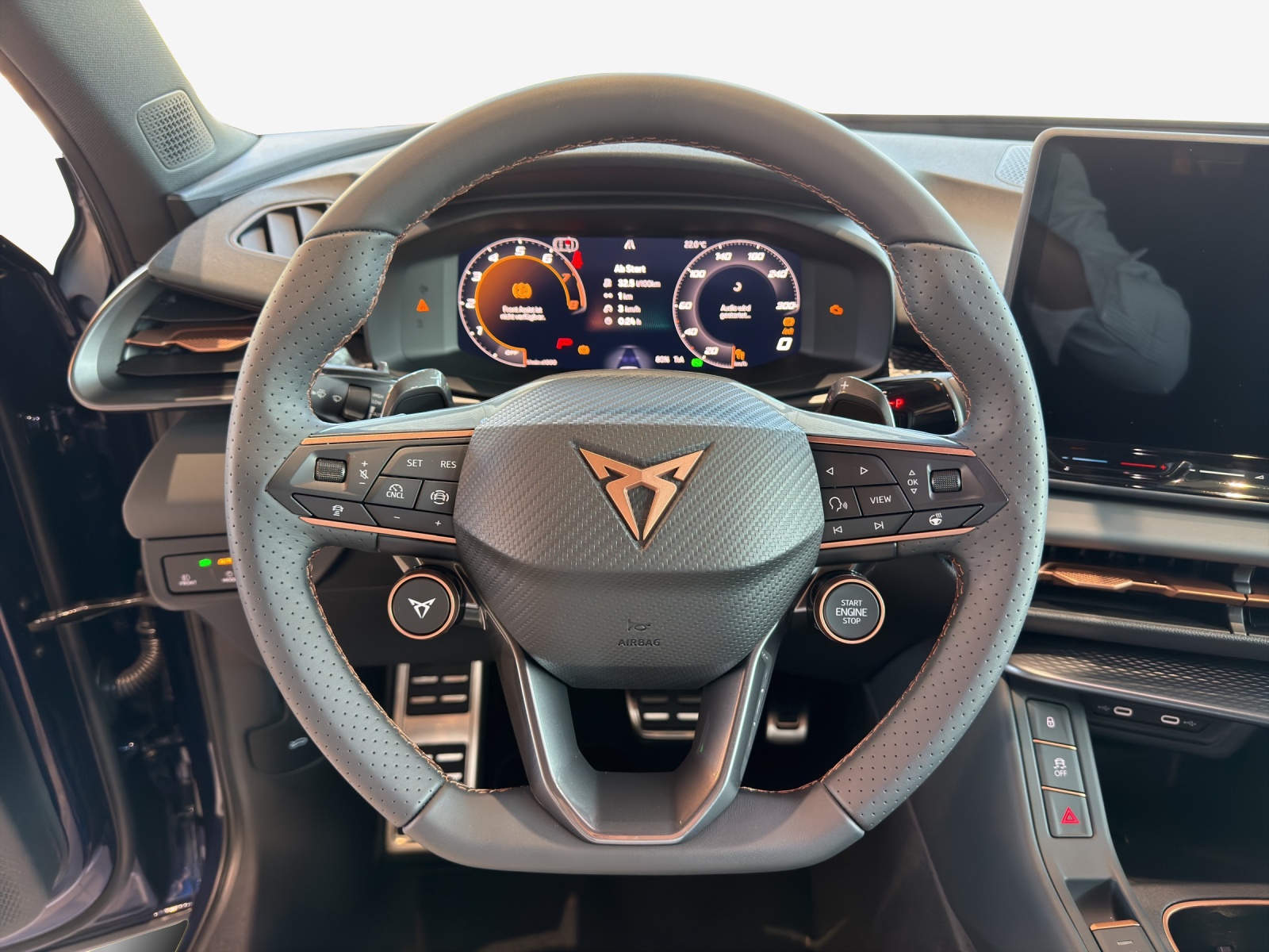 CUPRA Terramar 2.0 TSI DSG 4Drive-image-7