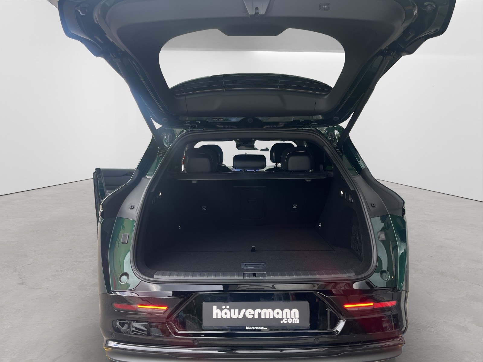 ZEEKR 7X Privilege AWD-image-5