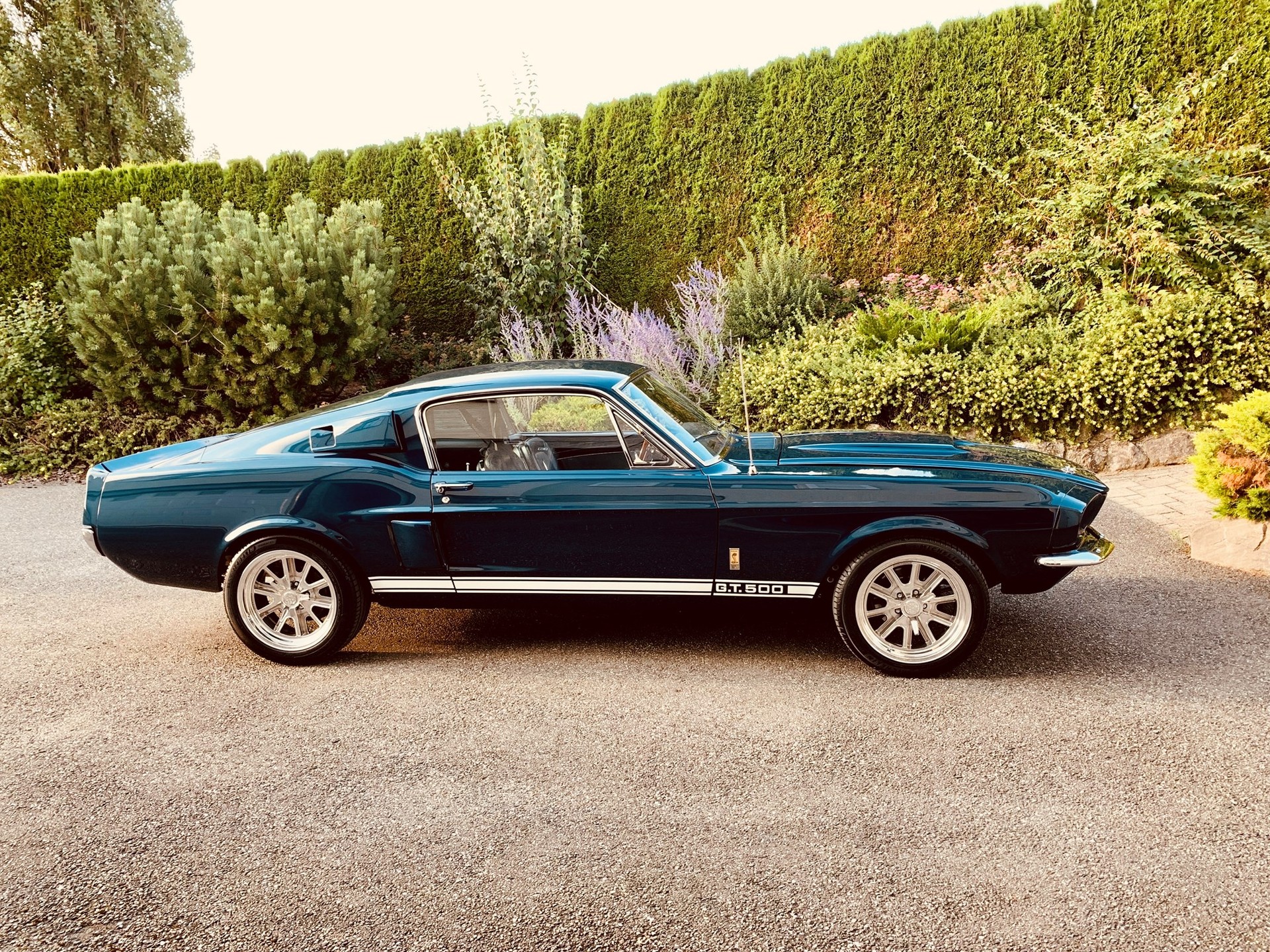 FORD SHELBY GT 500-image-0
