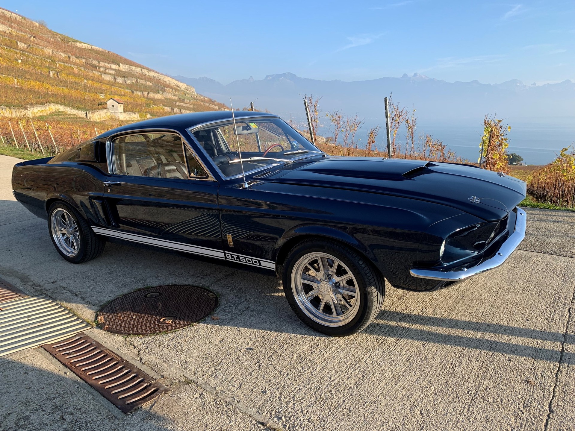 FORD SHELBY GT 500-image-1
