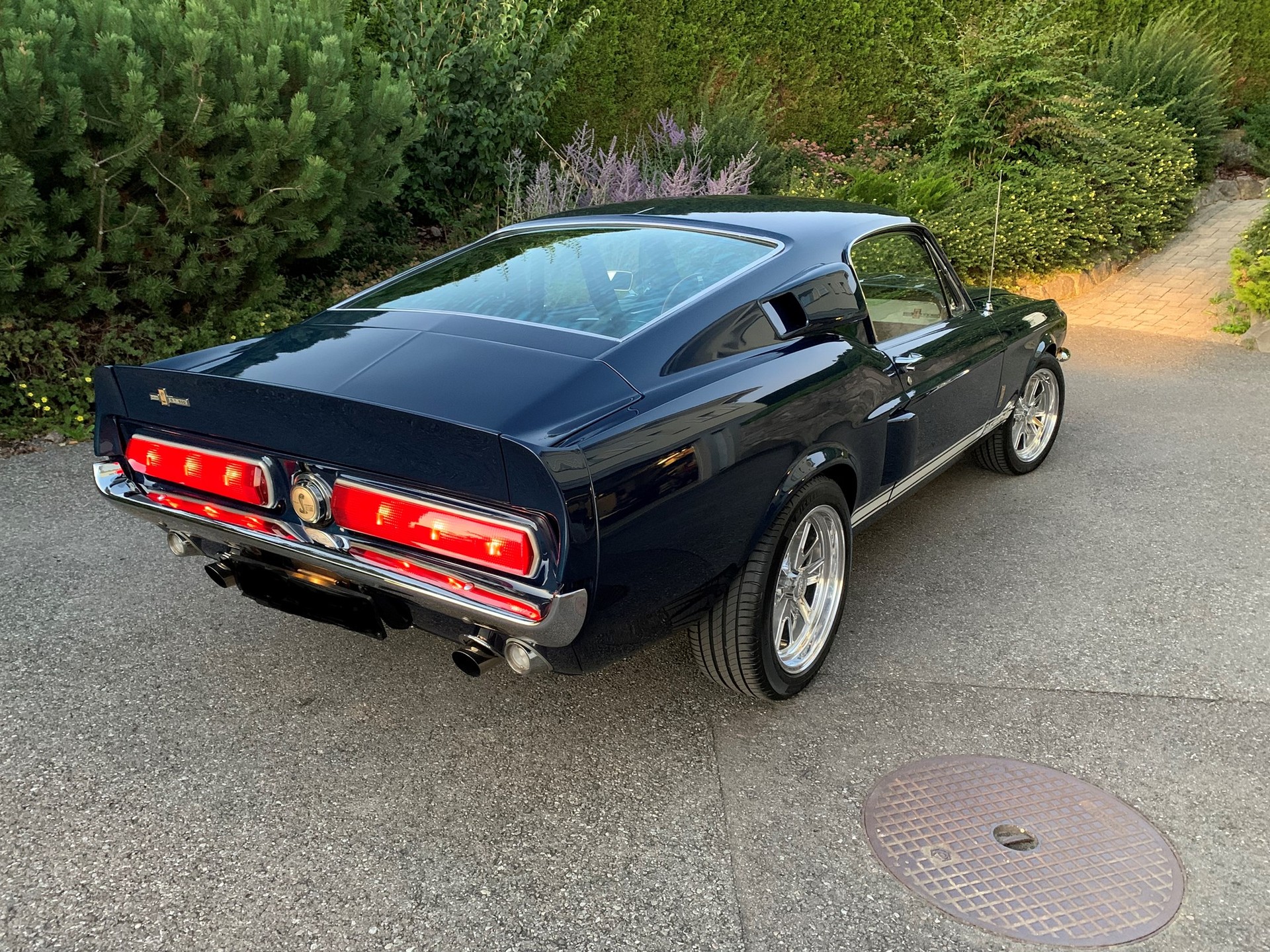 FORD SHELBY GT 500-image-2
