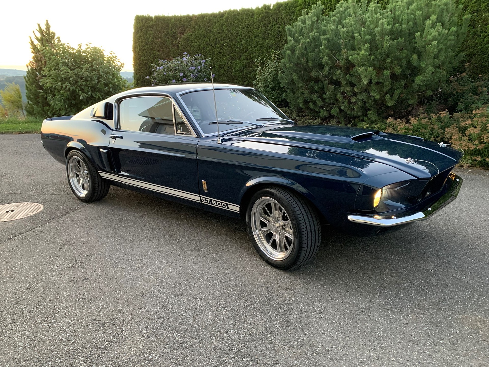 FORD SHELBY GT 500-image-3