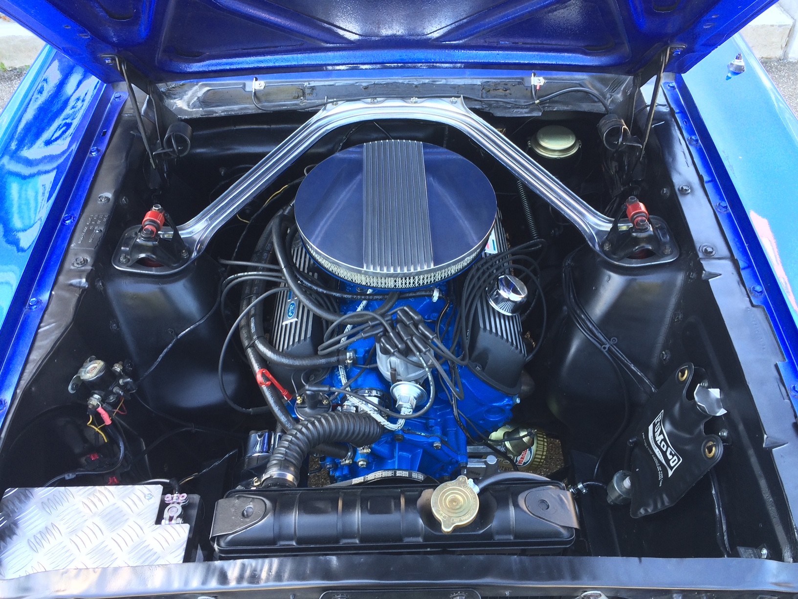 FORD GT 289 V8 Mustang-image-6