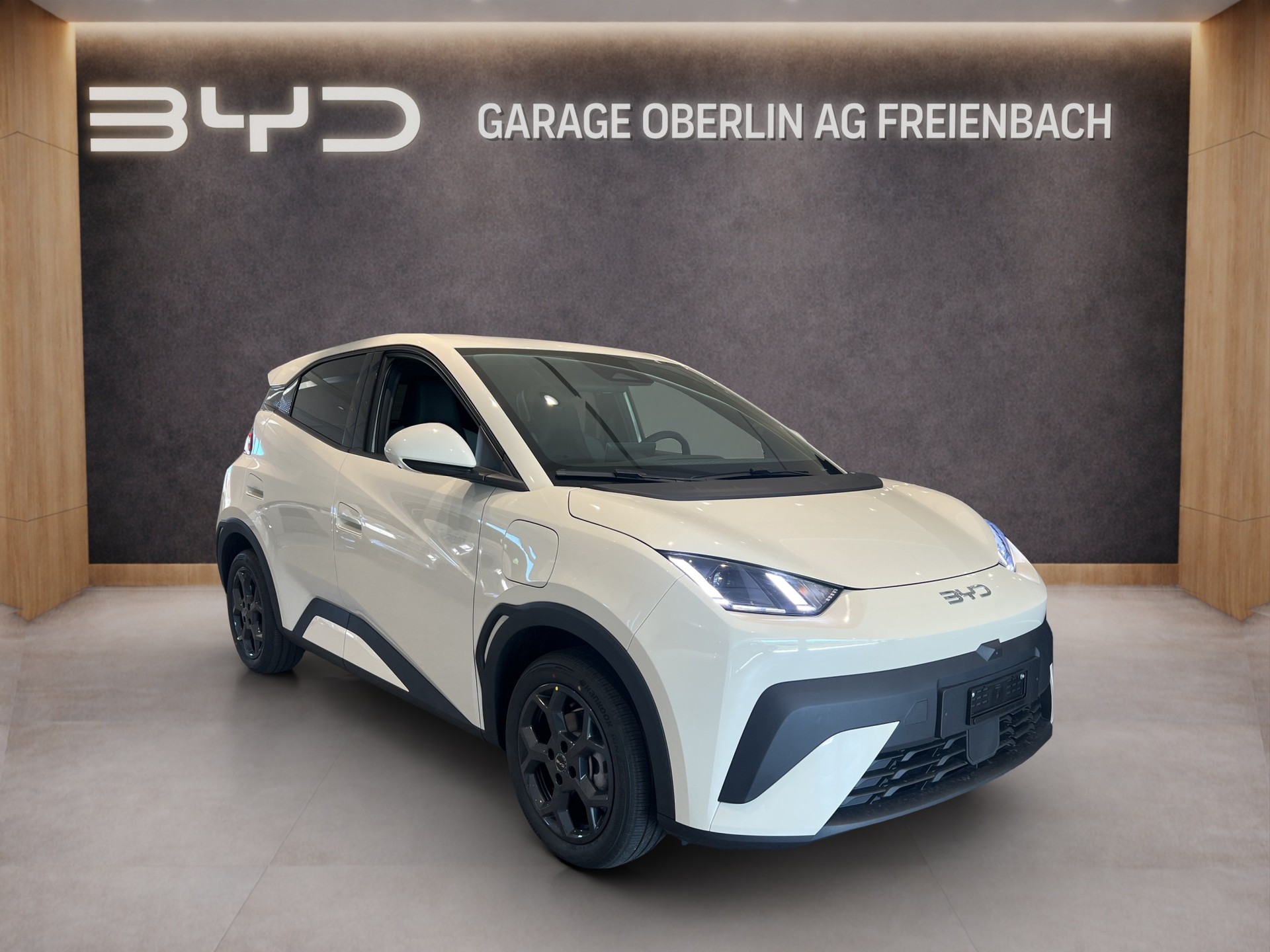 BYD Dolphin Surf Comfort-image-6