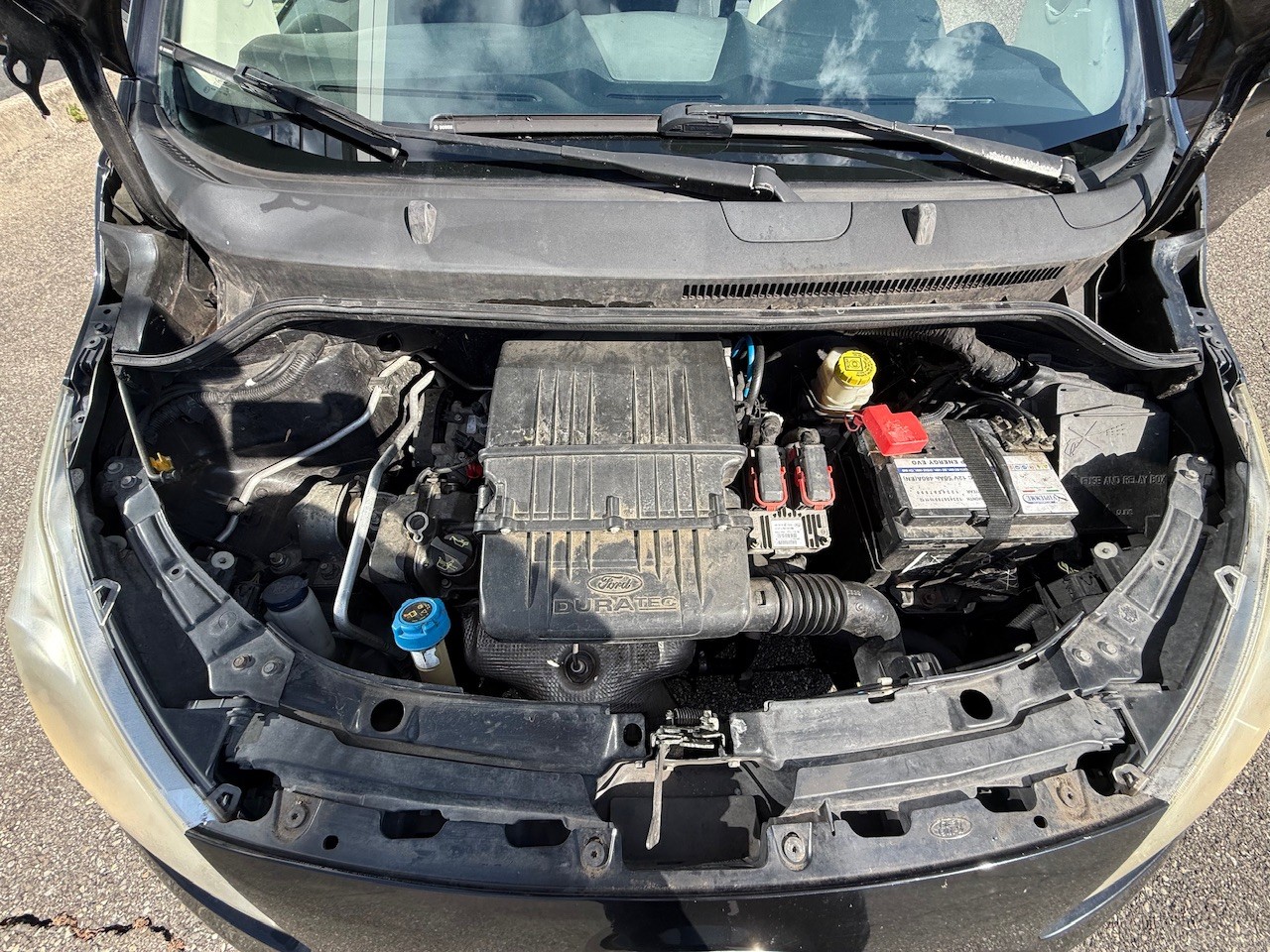FORD KA 1.25 Titanium+-image-12