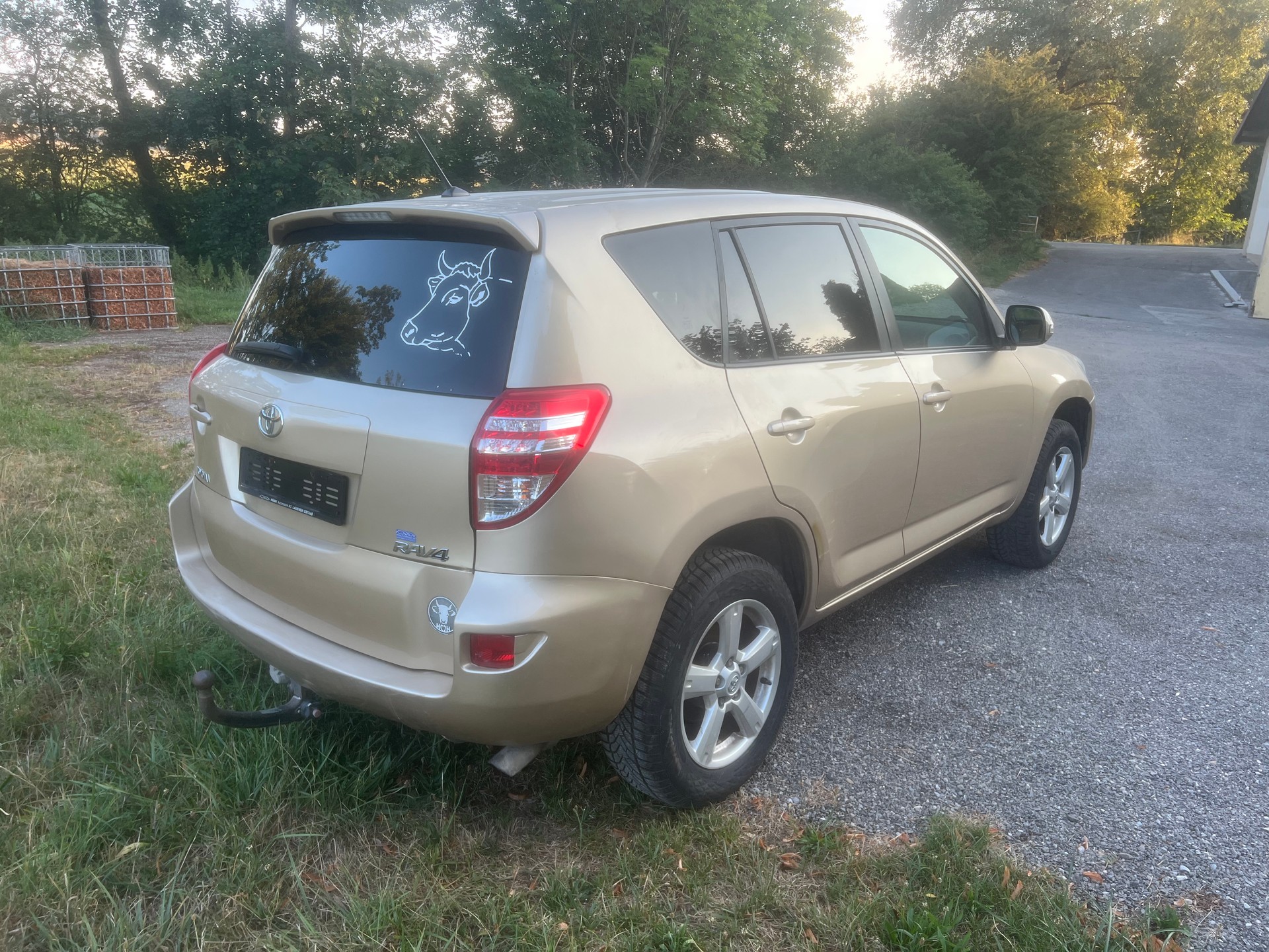 TOYOTA RAV-4 2.0 16V Linea Luna Multidrive-image-1