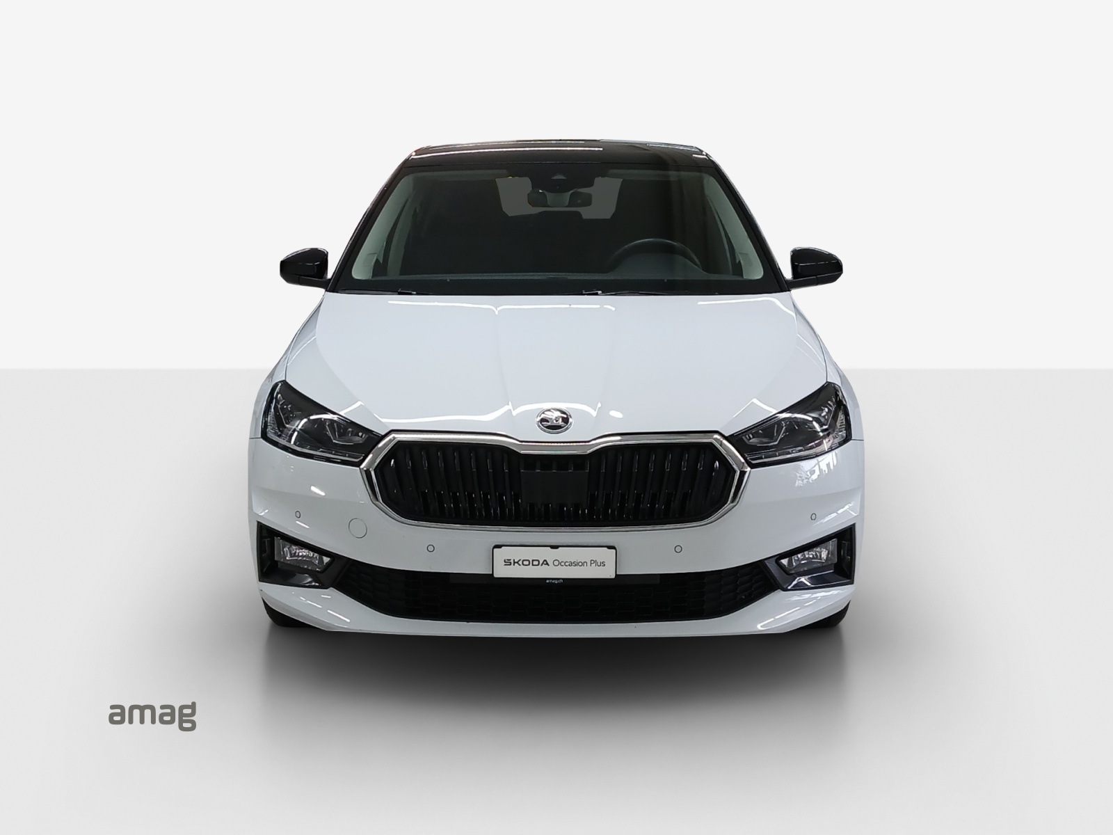 SKODA Fabia 1.0 TSI Style DSG-image-6