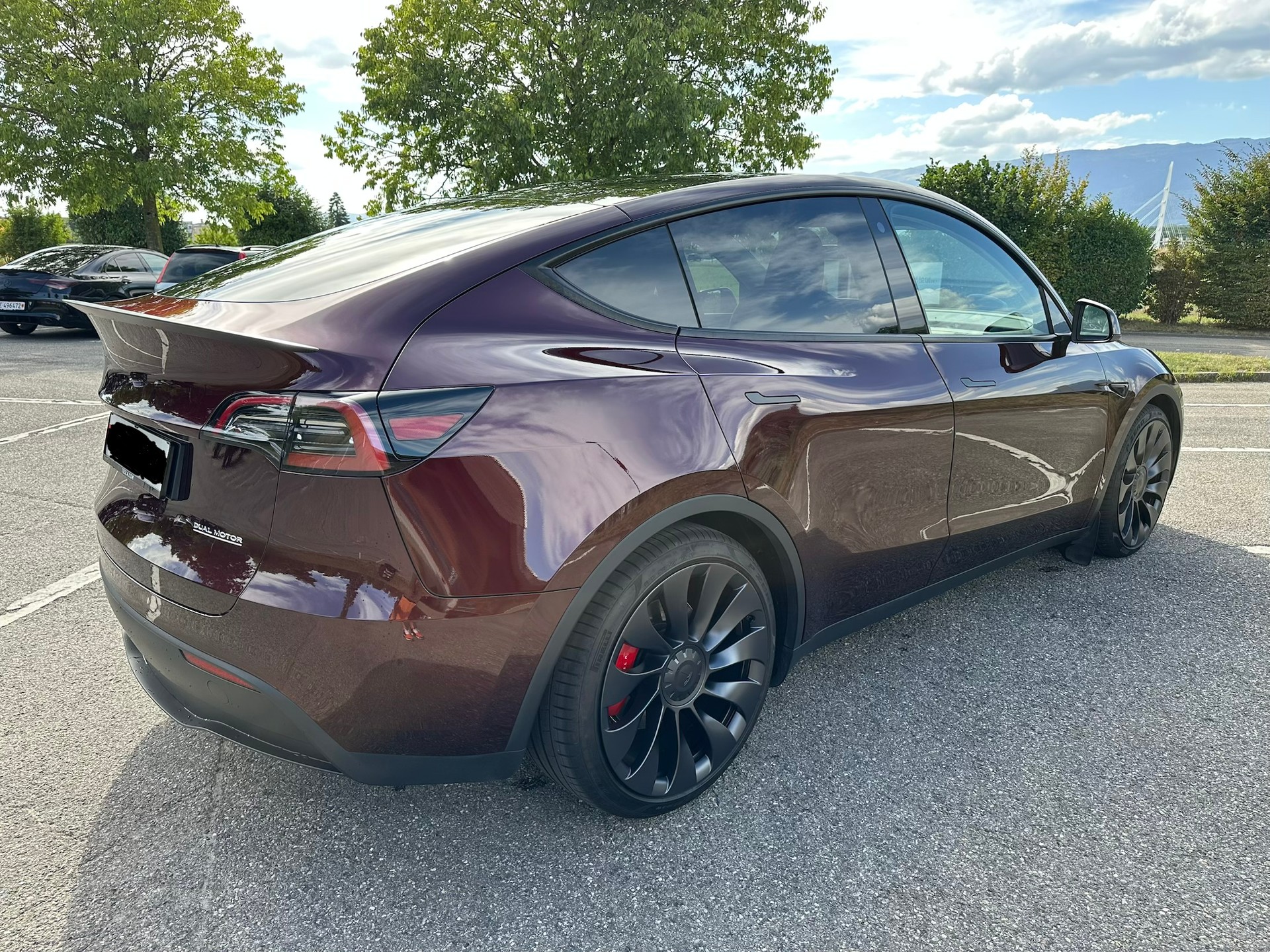 TESLA Performance D-image-2