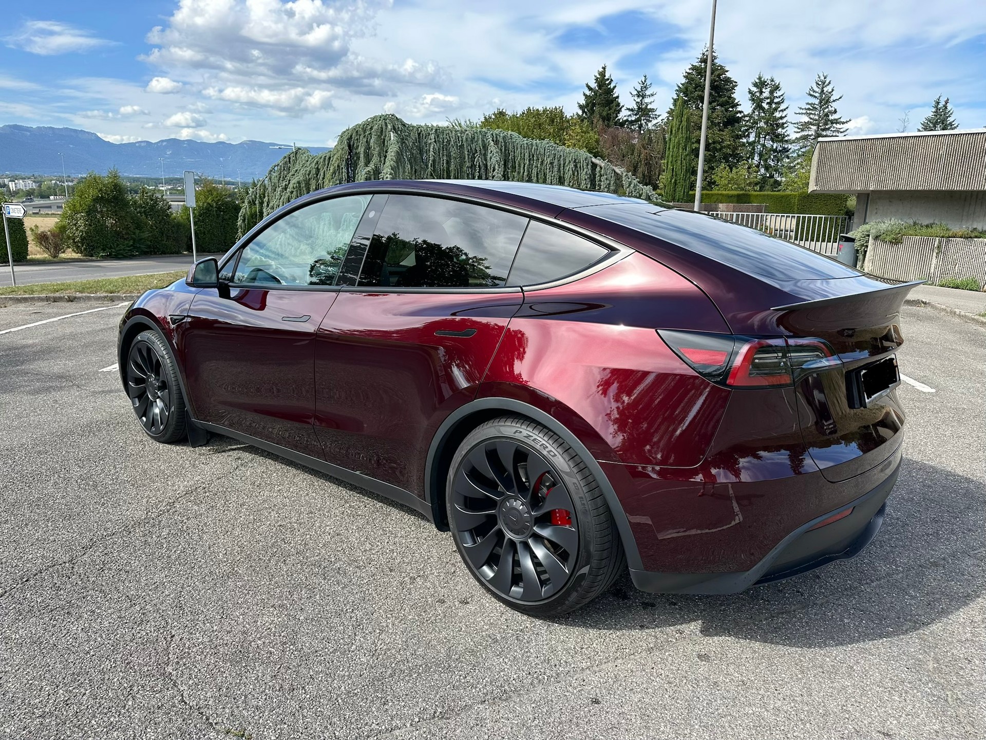 TESLA Performance D-image-1