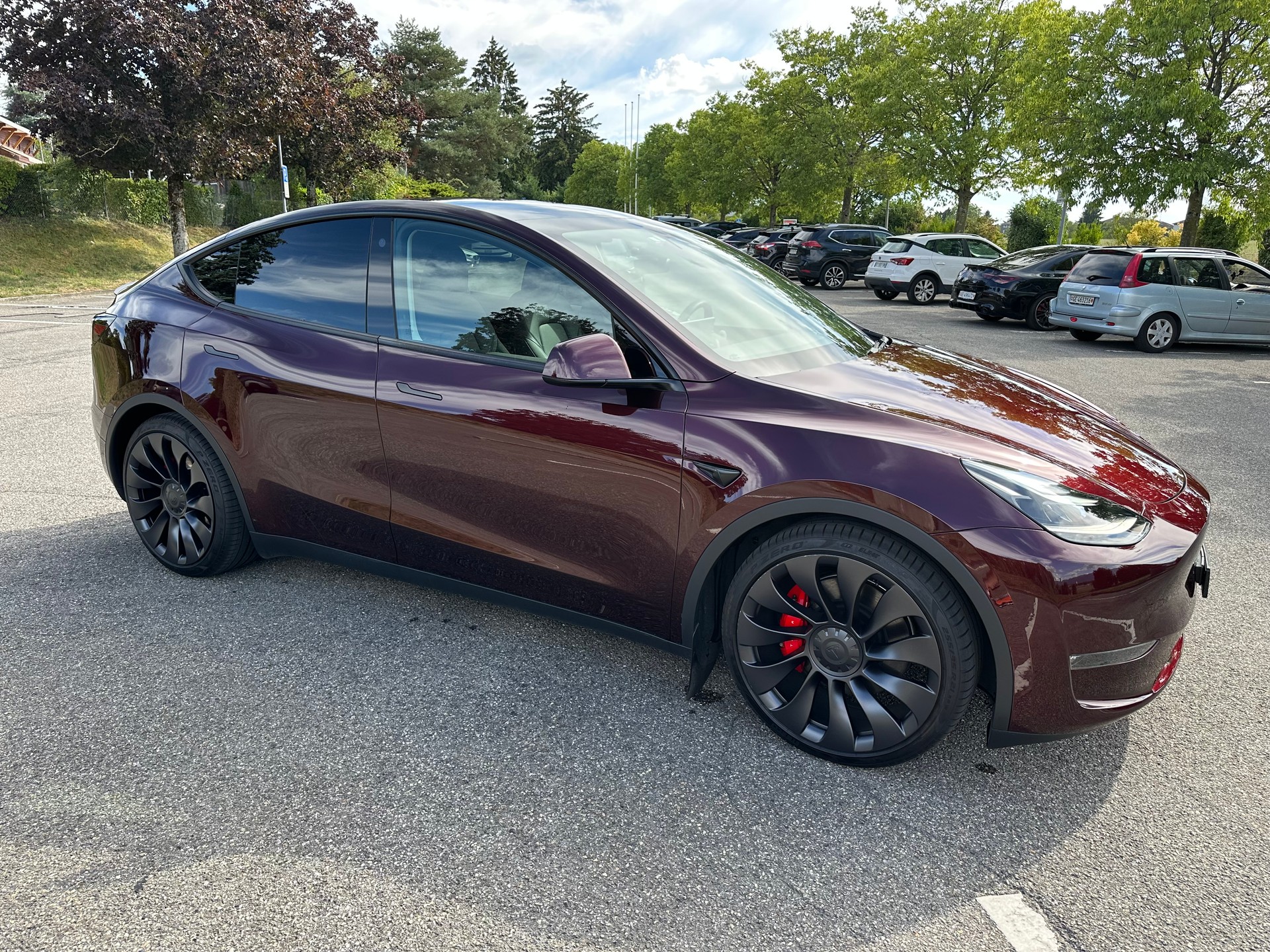 TESLA Performance D-image-3