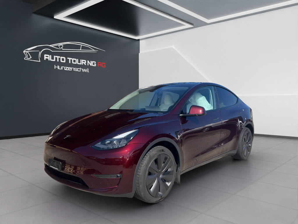 TESLA Model Y Long Range D 4x4-image-6