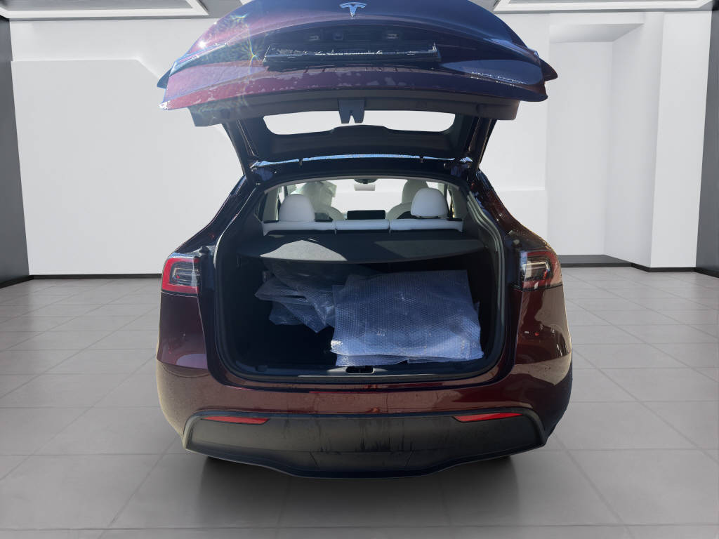 TESLA Model Y Long Range D 4x4-image-14