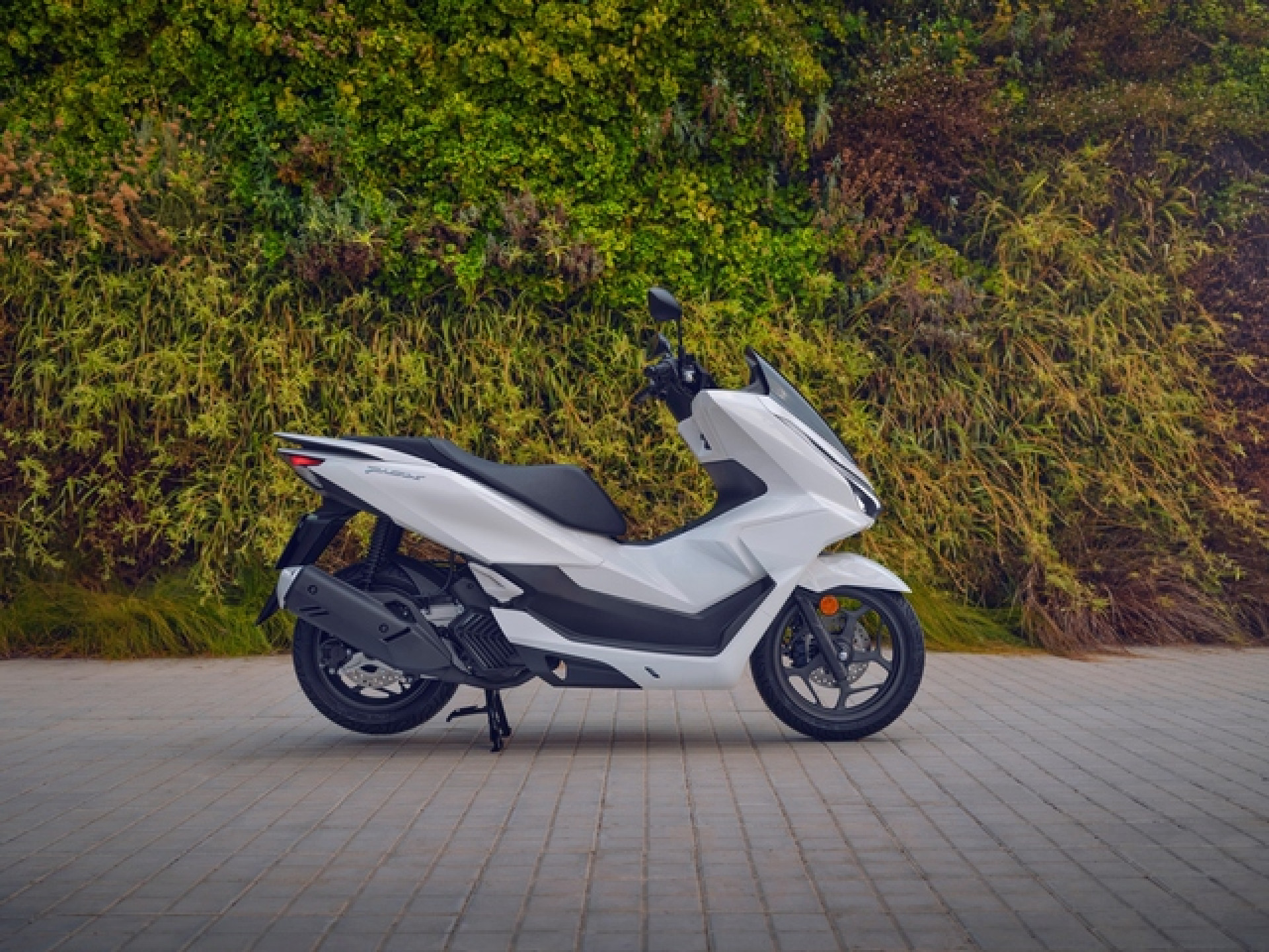HONDA PCX 125 6 ans de garantie-showroom-element-2