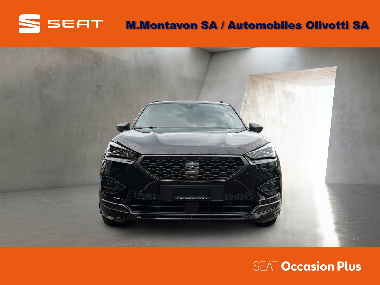 SEAT Tarraco 2.0TSI 4Drive Hola FR DSG-image-1