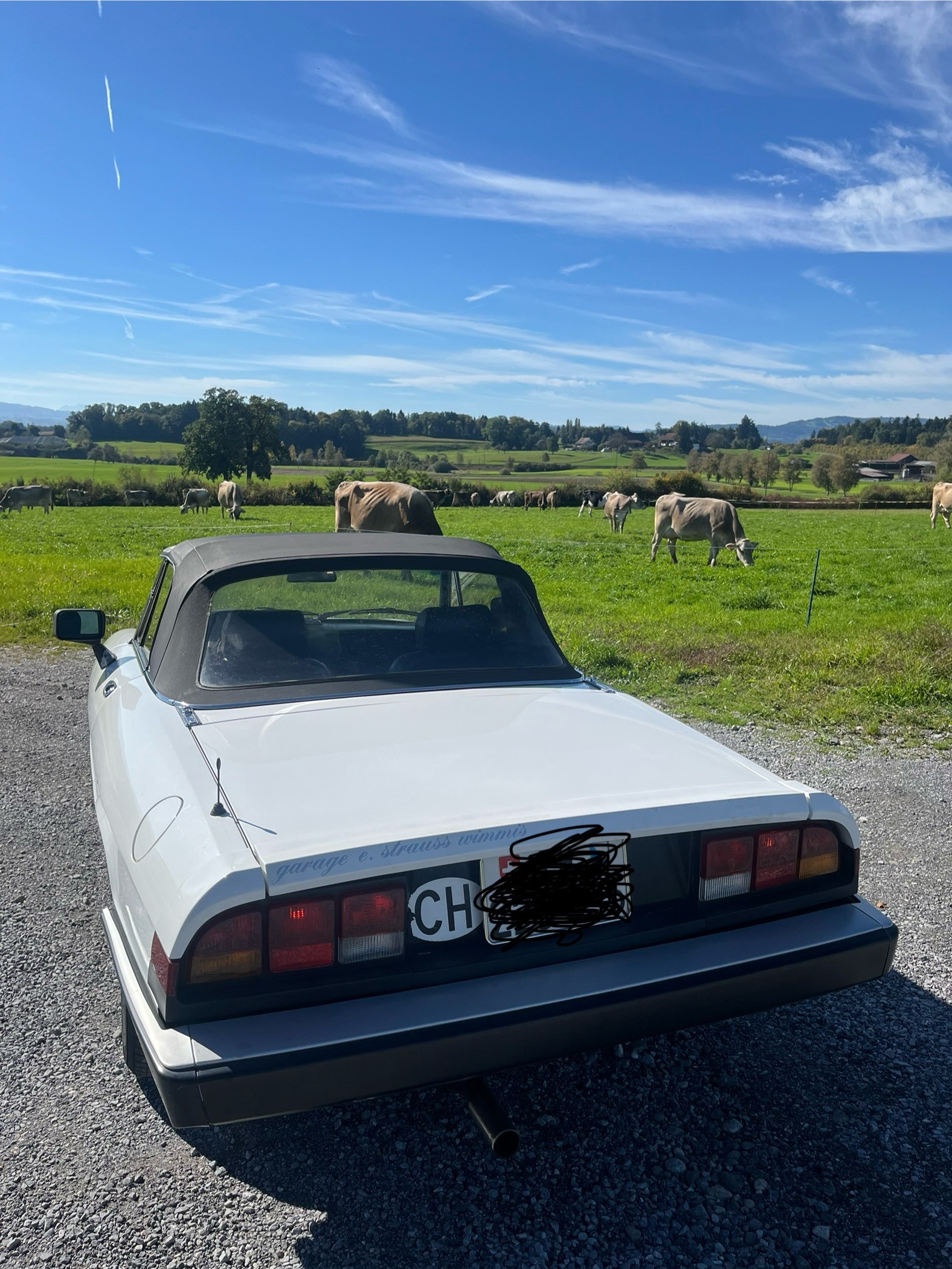 ALFA ROMEO Spider 2.0-image-3