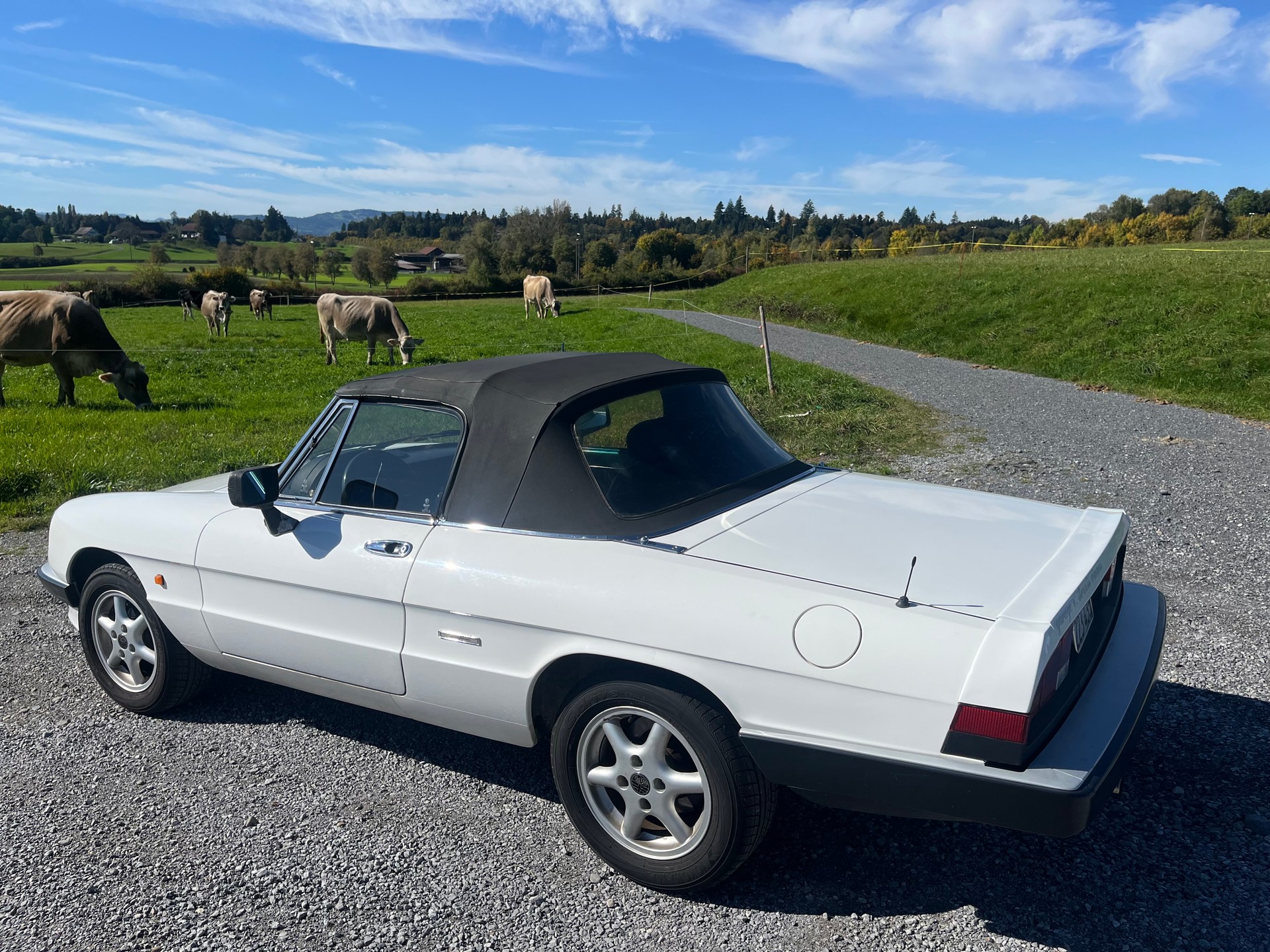ALFA ROMEO Spider 2.0-image-5