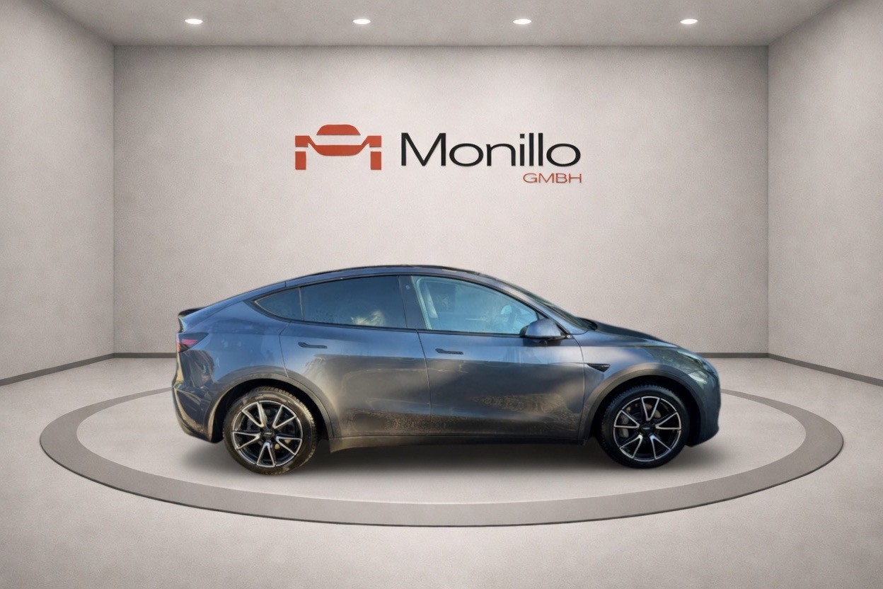 TESLA Model Y Long Range Dual Motor AWD-image-3