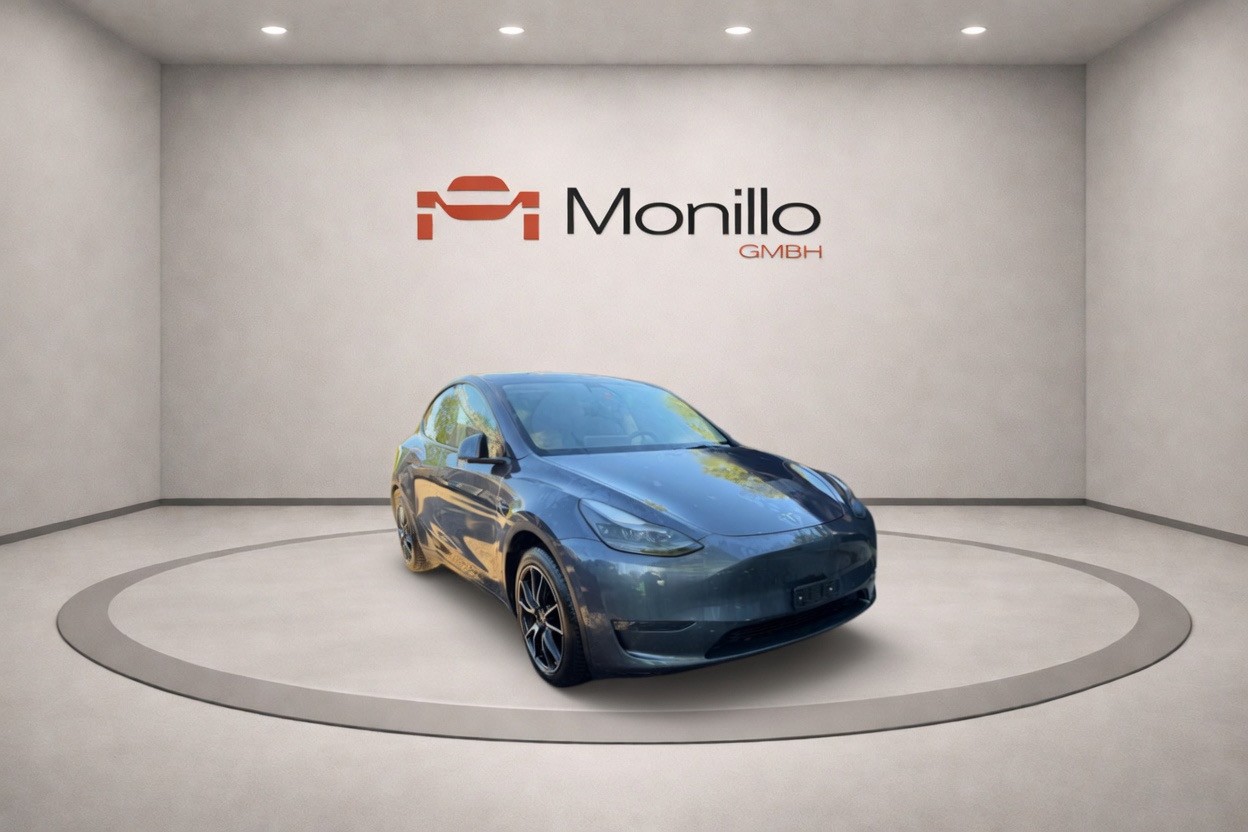 TESLA Model Y Long Range Dual Motor AWD-image-4