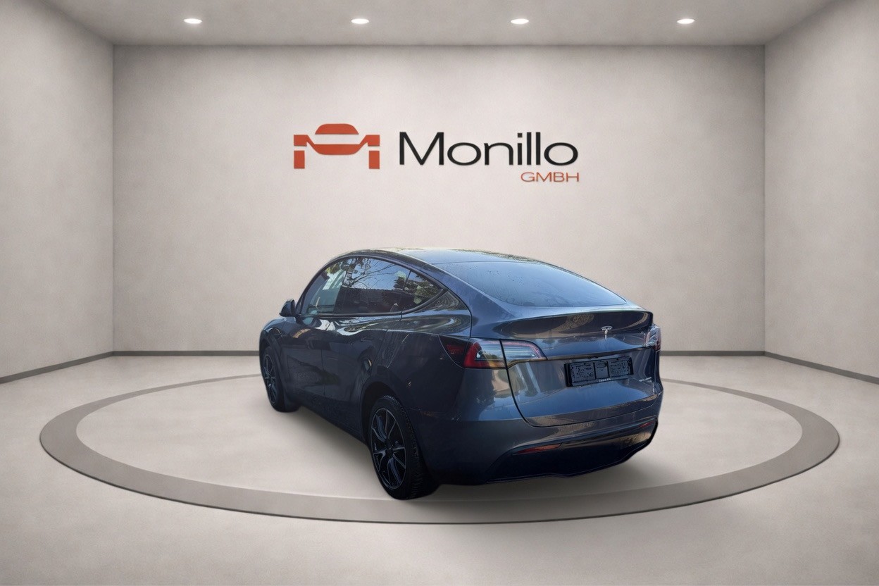 TESLA Model Y Long Range Dual Motor AWD