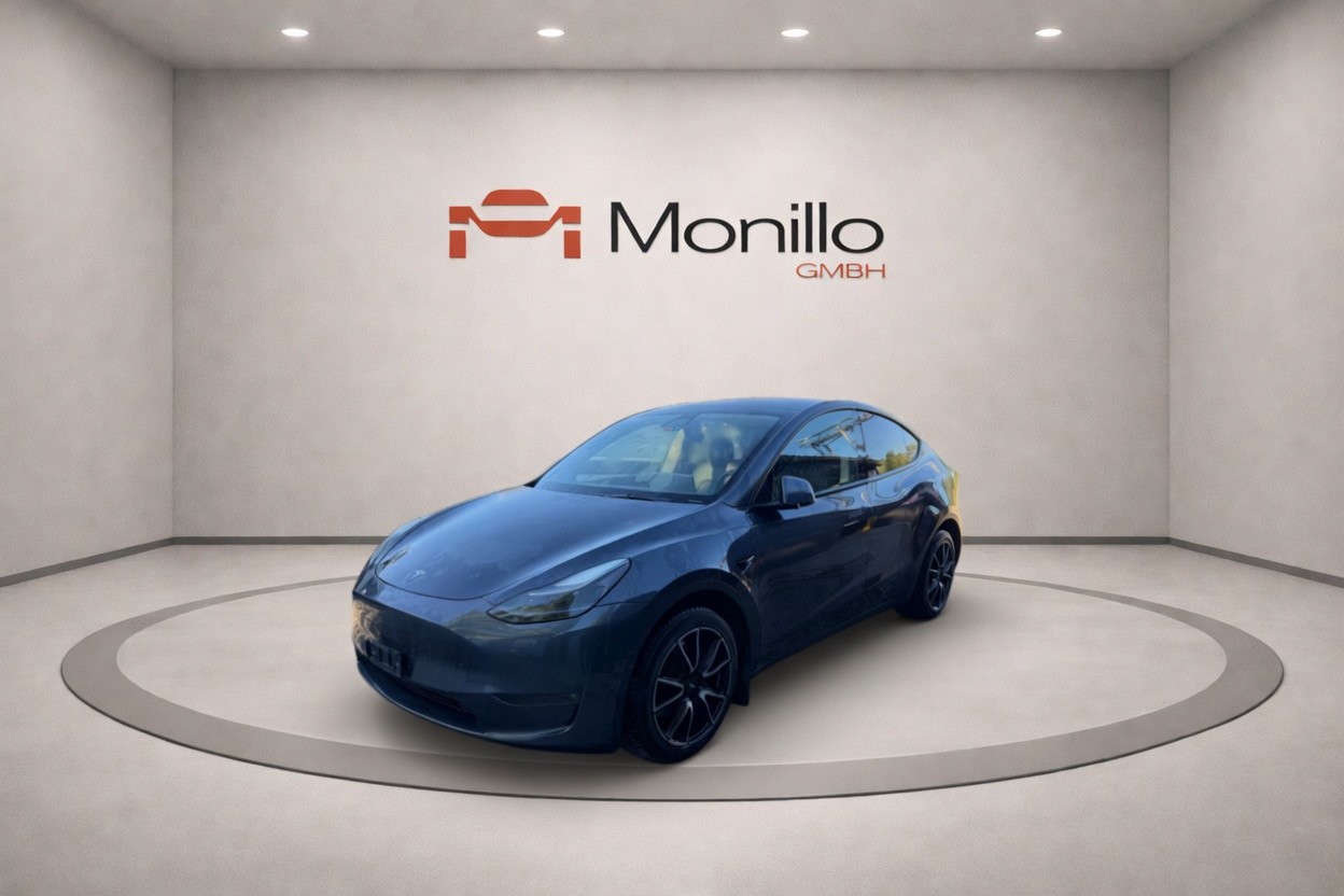 TESLA Model Y Long Range Dual Motor AWD-image-1
