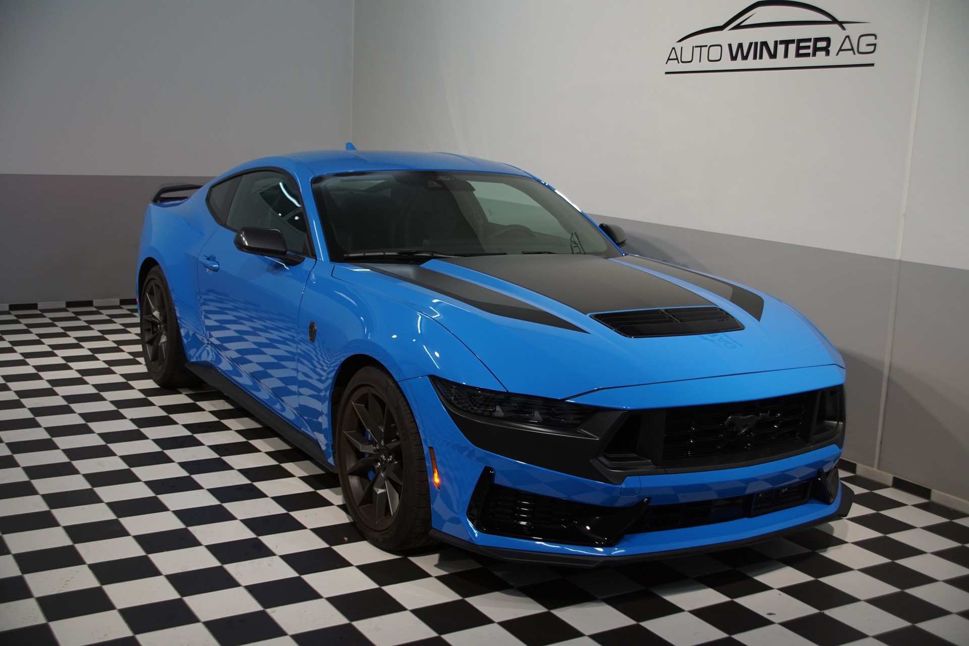 FORD Dark Horse USA Version-image-0