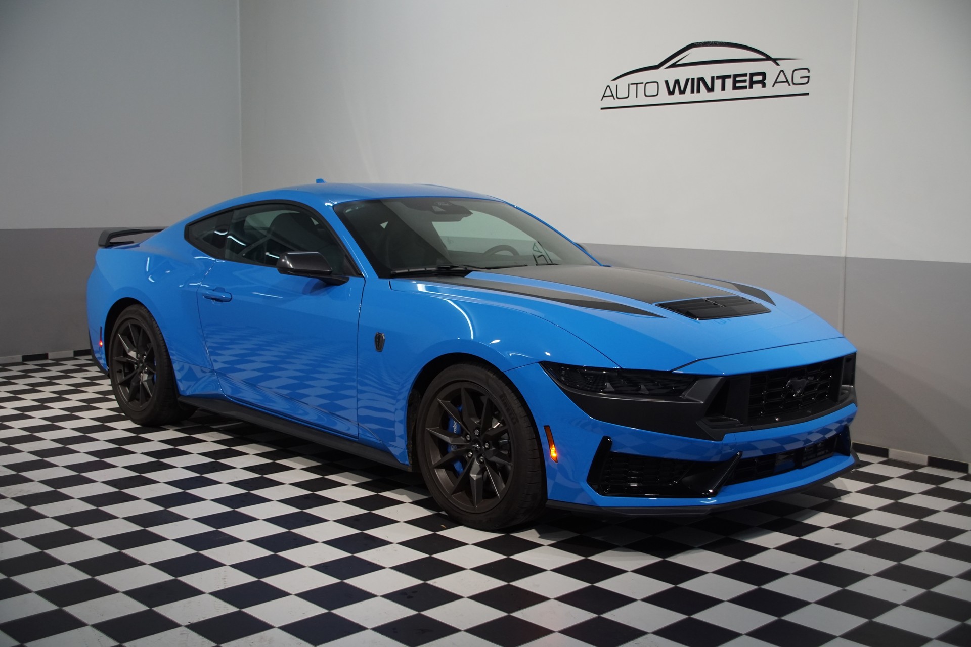 FORD Dark Horse USA Version-image-3