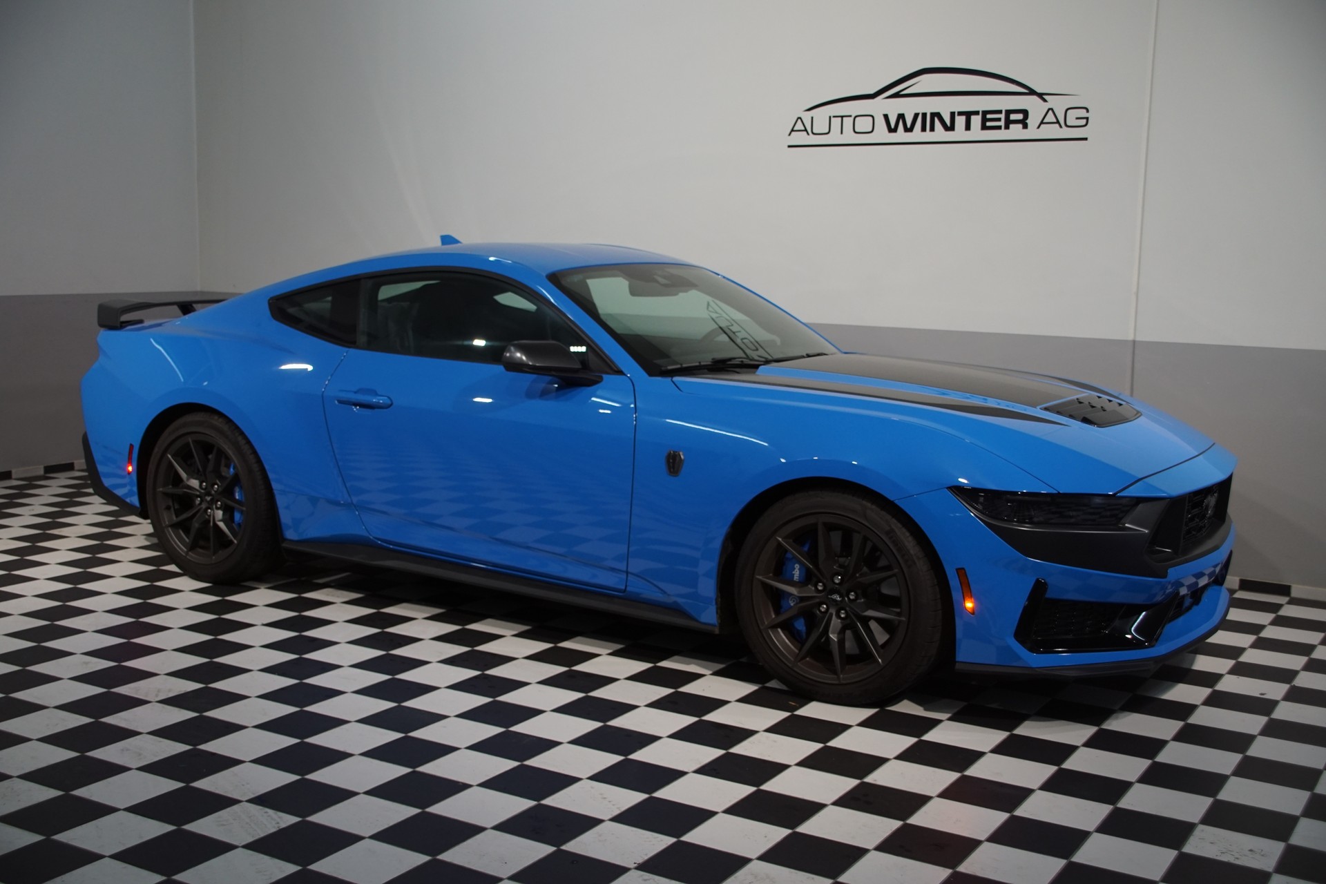 FORD Dark Horse USA Version-image-1