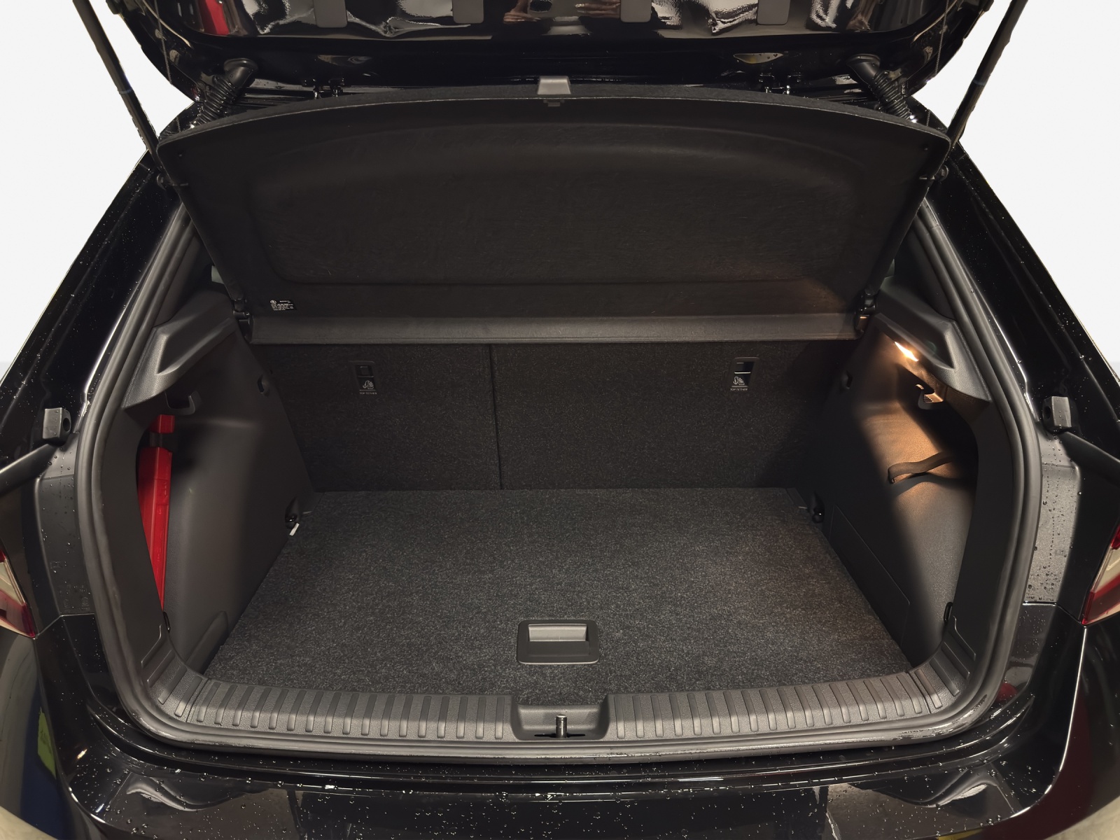SKODA Fabia 1.0 TSI Dynamic DSG-image-12