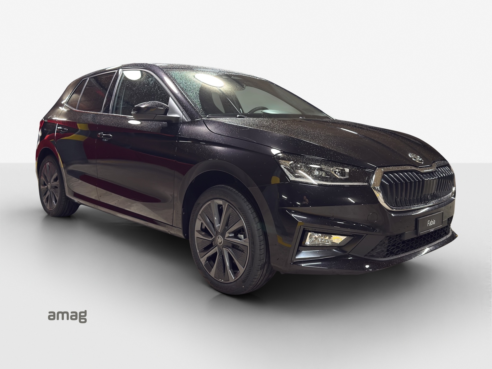 SKODA Fabia 1.0 TSI Dynamic DSG-image-5