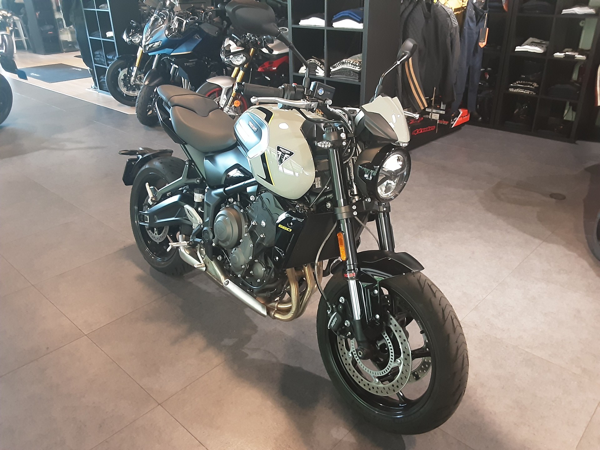 TRIUMPH 660-image-3