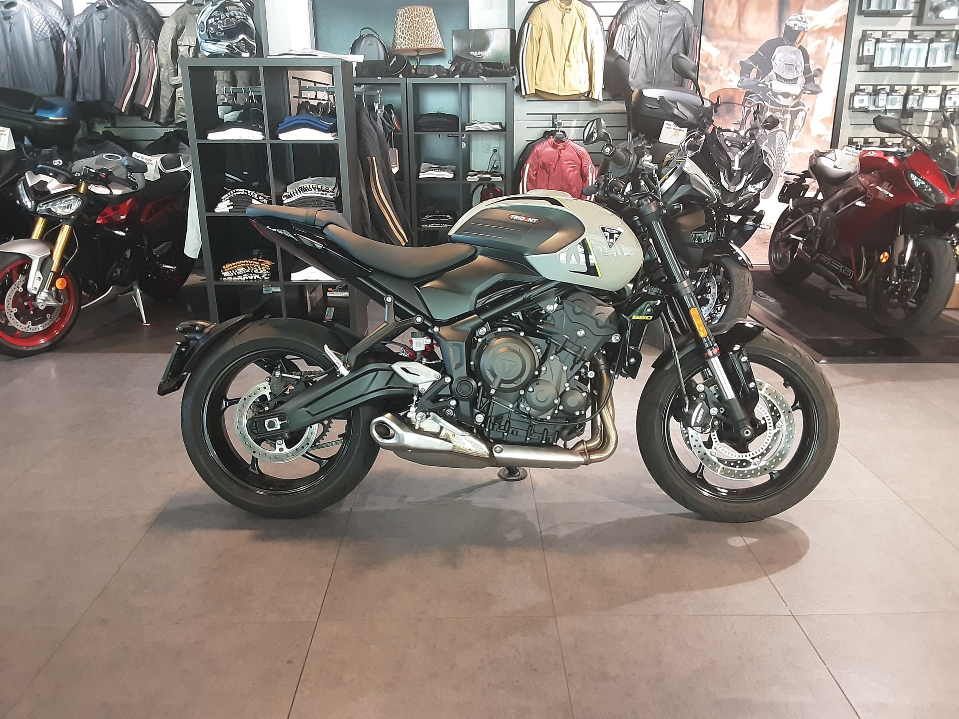 TRIUMPH 660