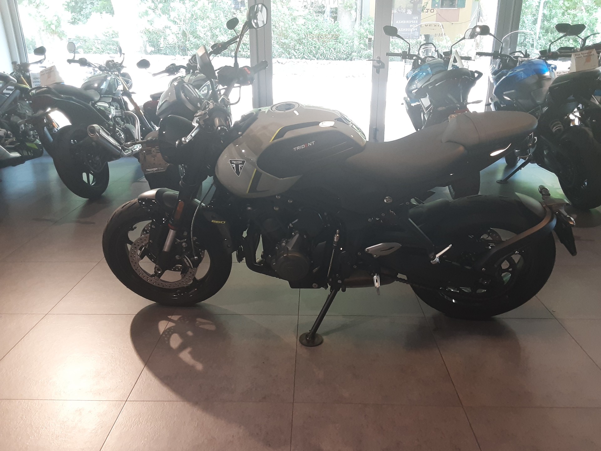 TRIUMPH 660-image-1