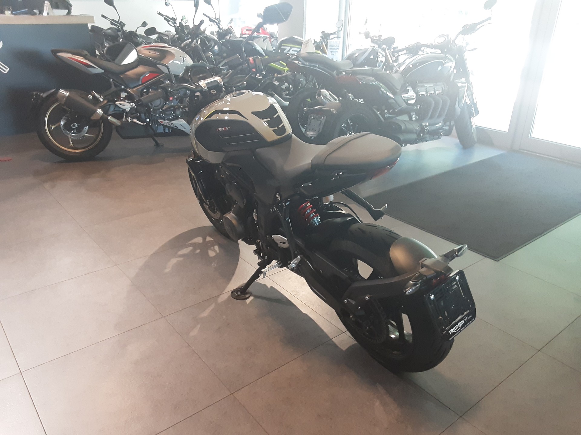 TRIUMPH 660-image-4