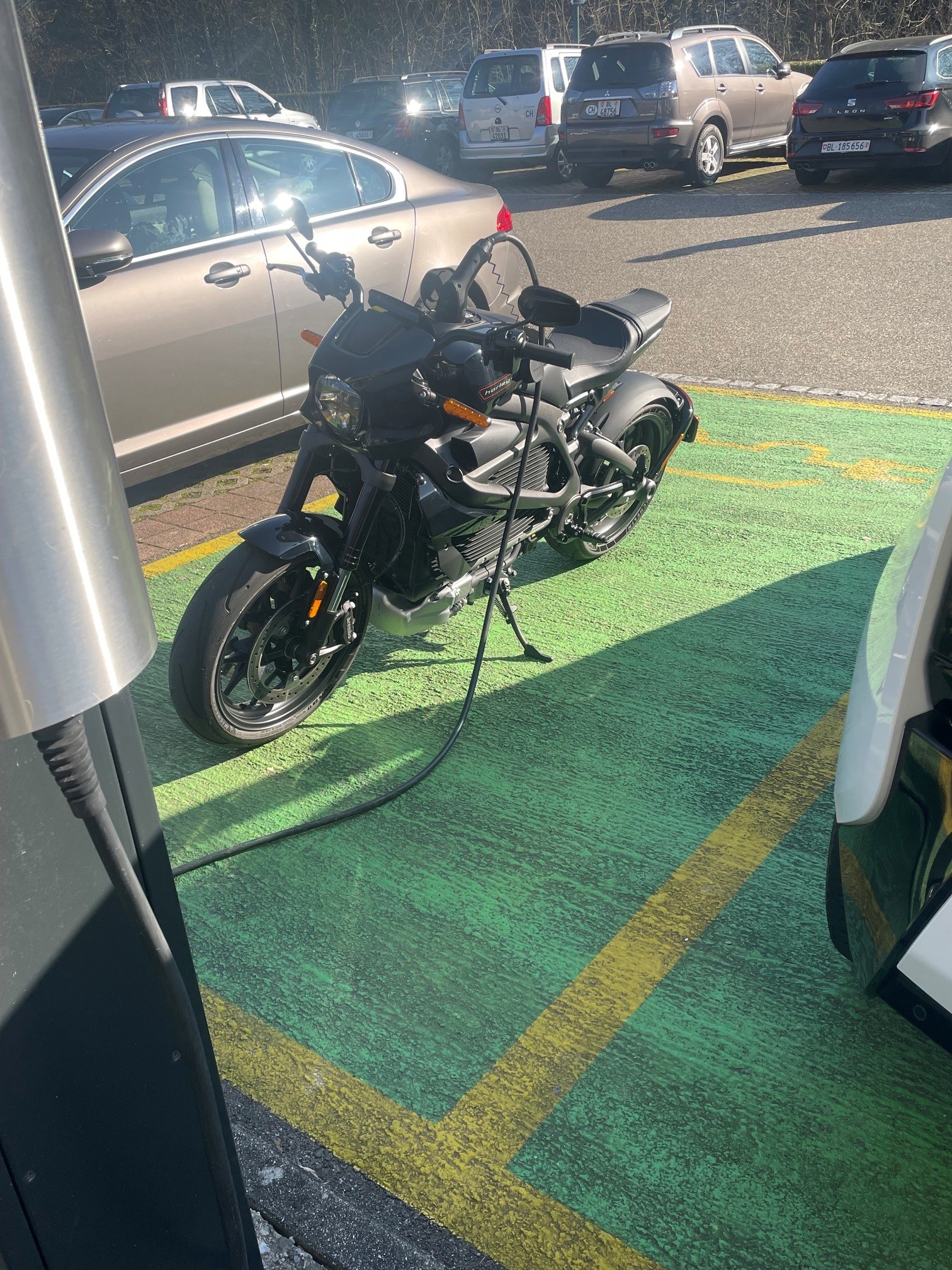 HARLEY-DAVIDSON Live Wire-image-2