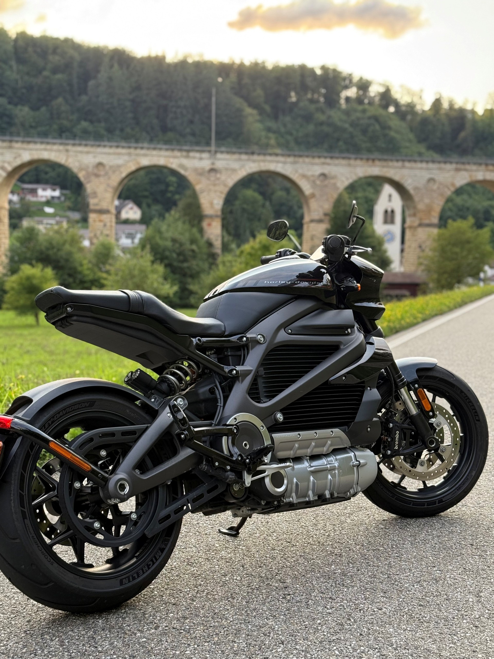 HARLEY-DAVIDSON Live Wire